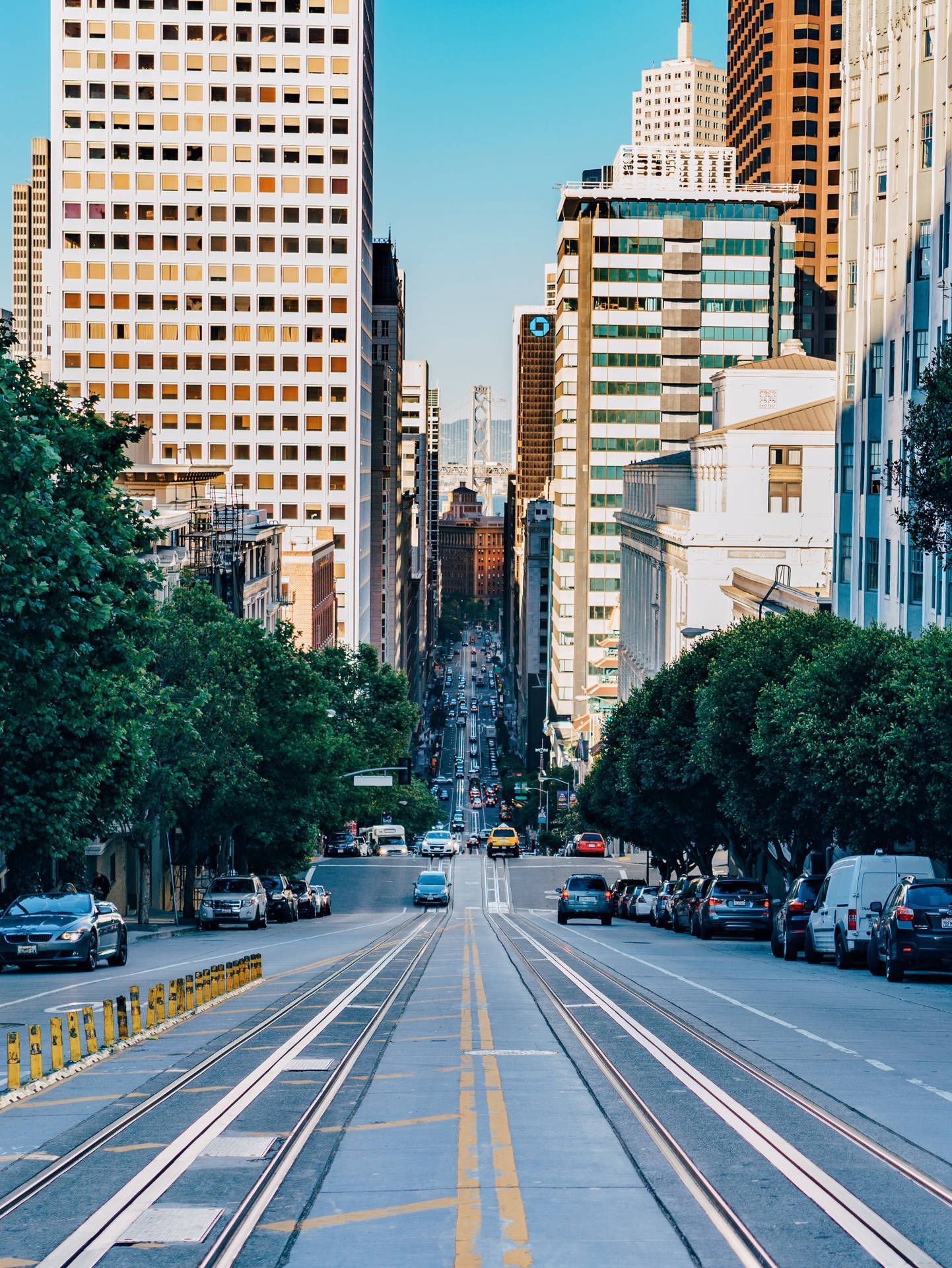 1442x1920 Street Wallpaper