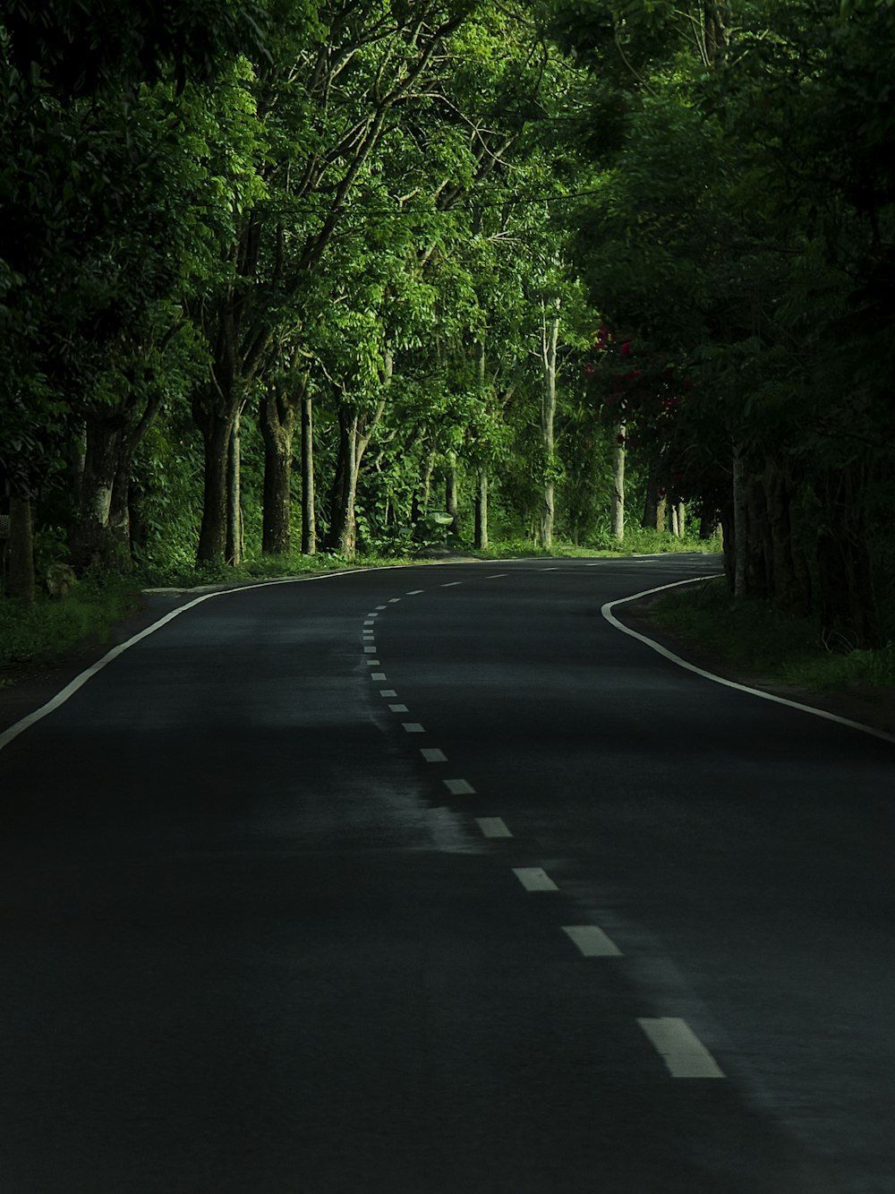 1000x1333 Road Wallpaper Picture