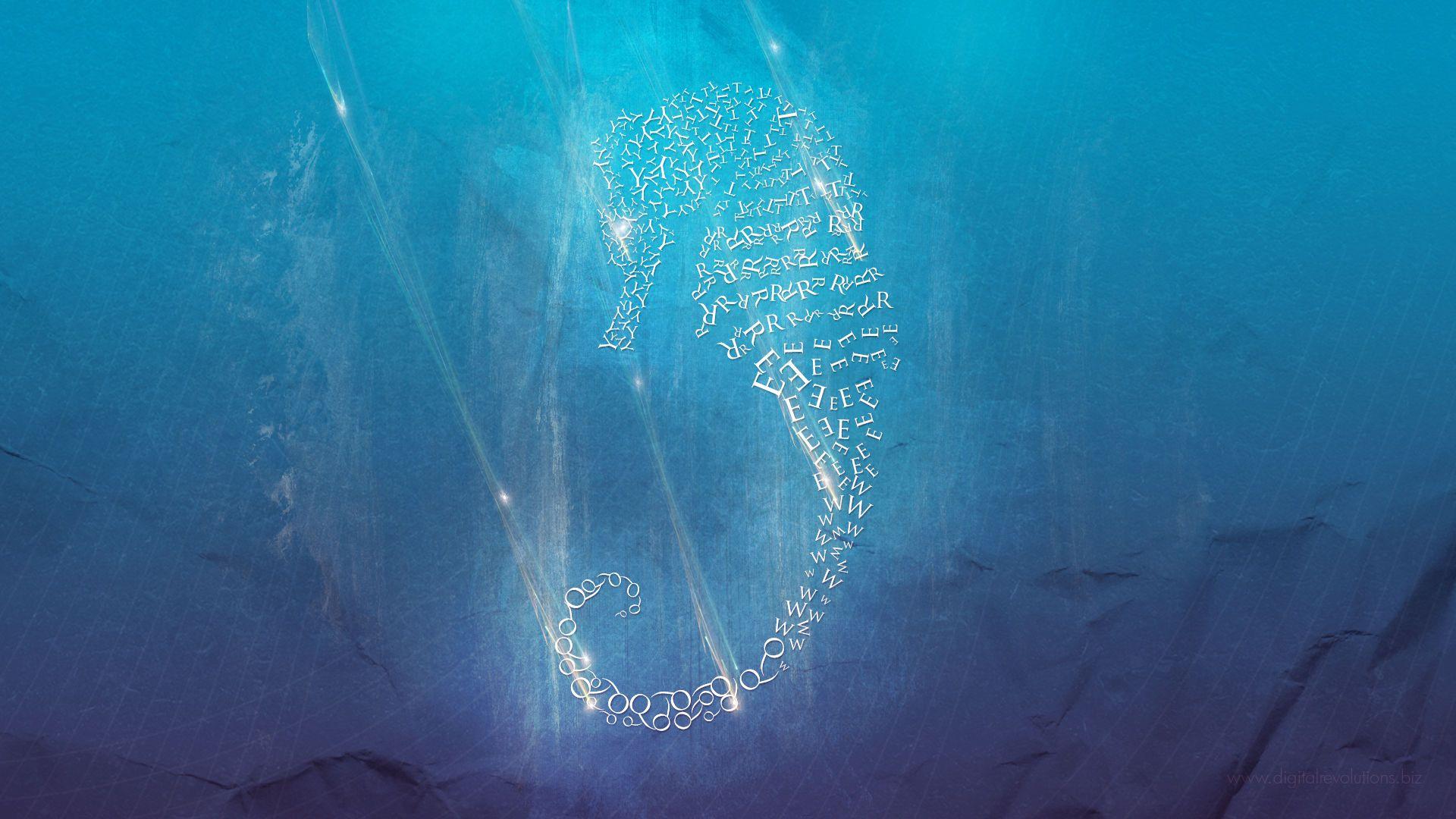 1920x1080 Seahorse Wallpaper Group , HD Wallpaper