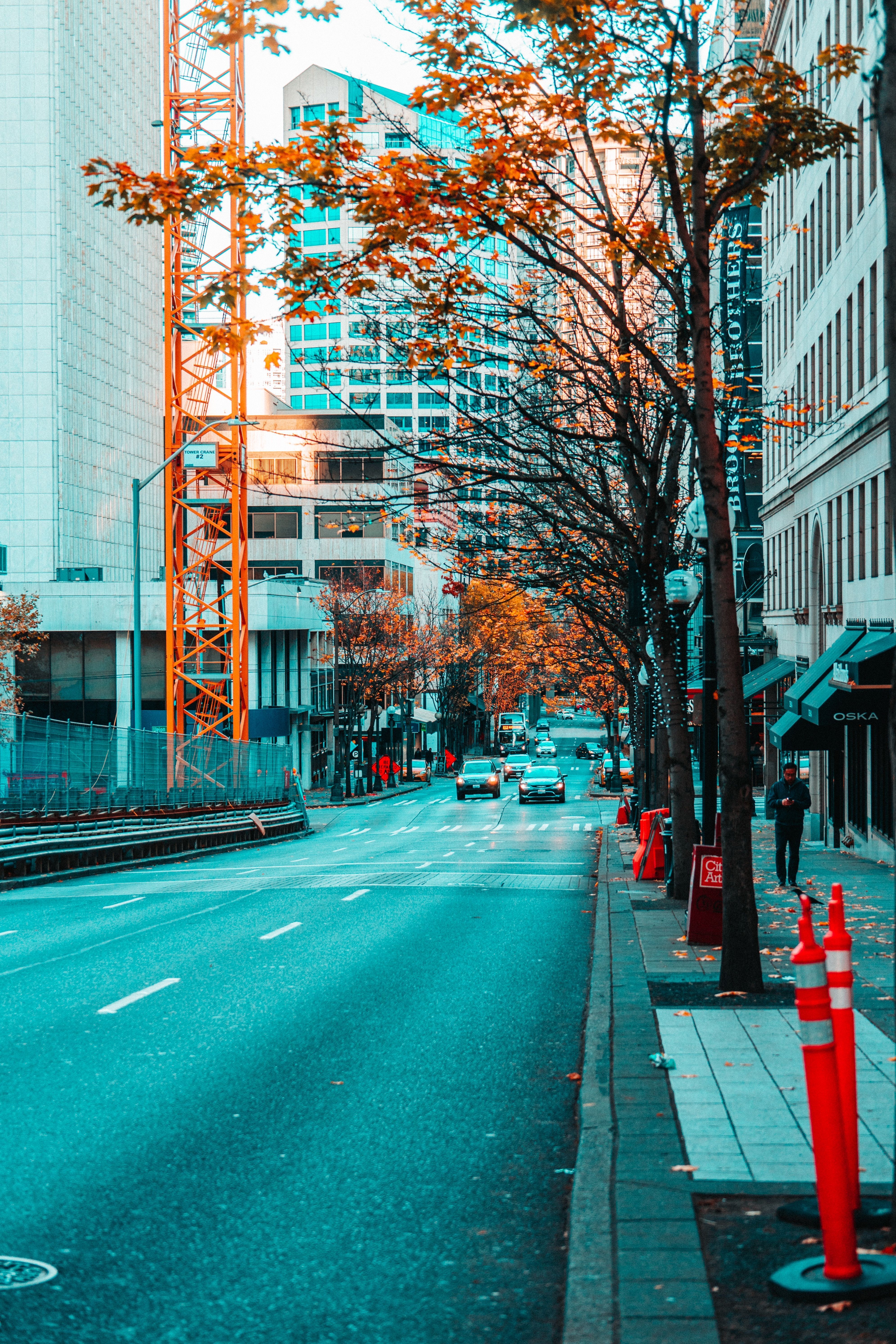 3983x5974 City, Road, Asphalt, 123688 download