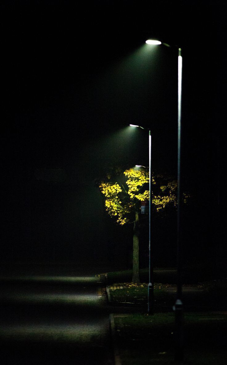 736x1183 autumn #outdoor #night #lights