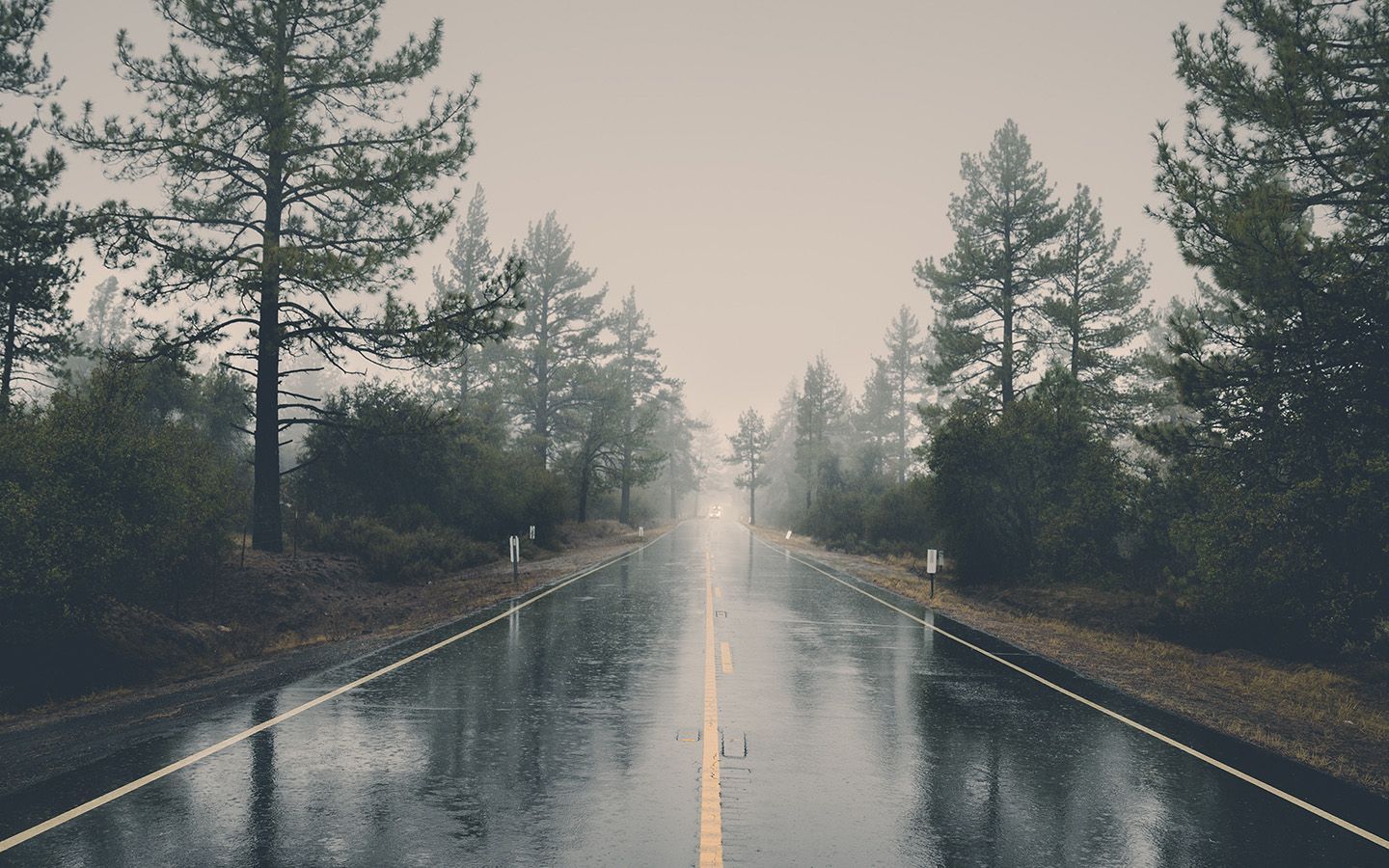 1440x900 Rain Road Street City Nature