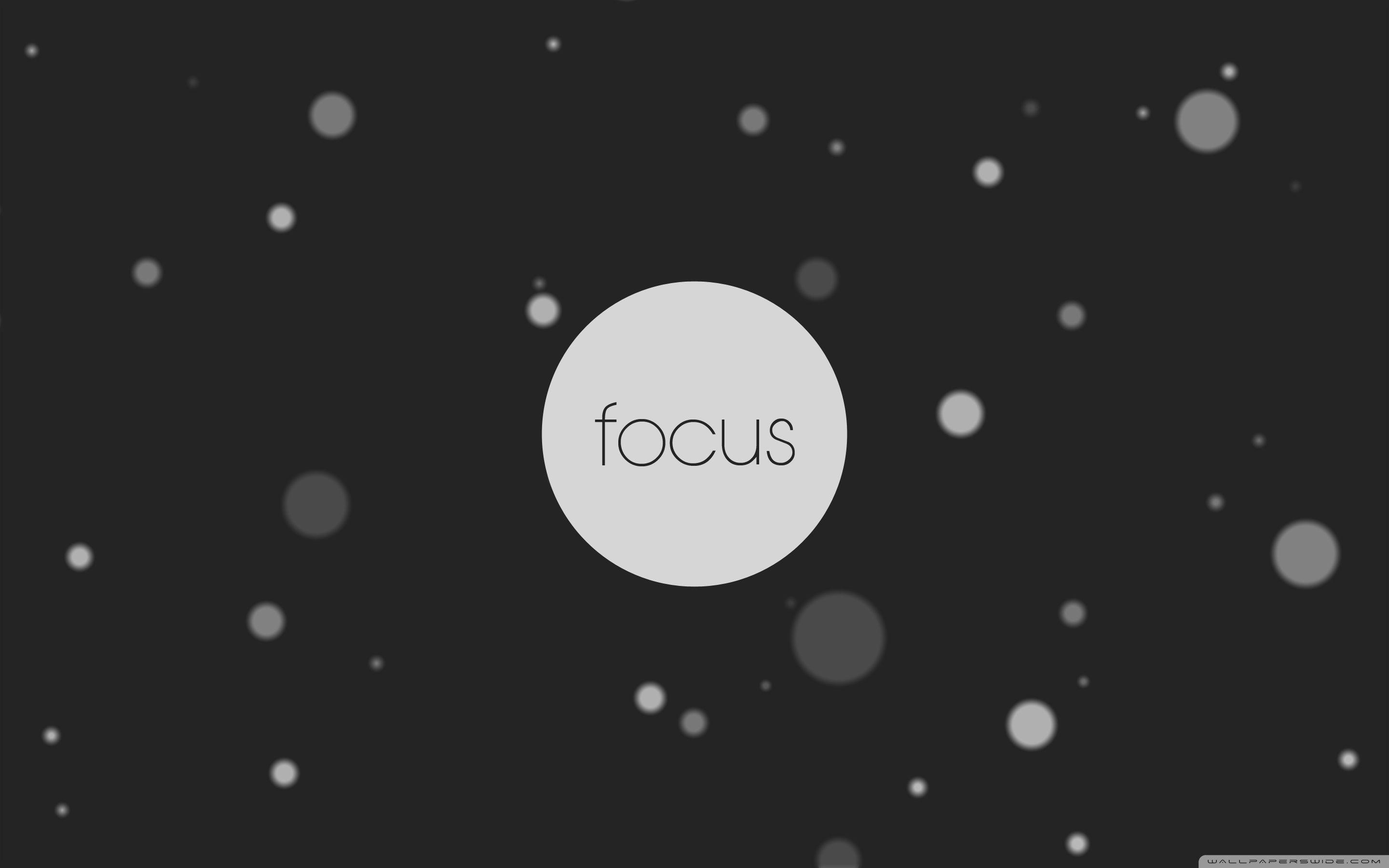 focus download