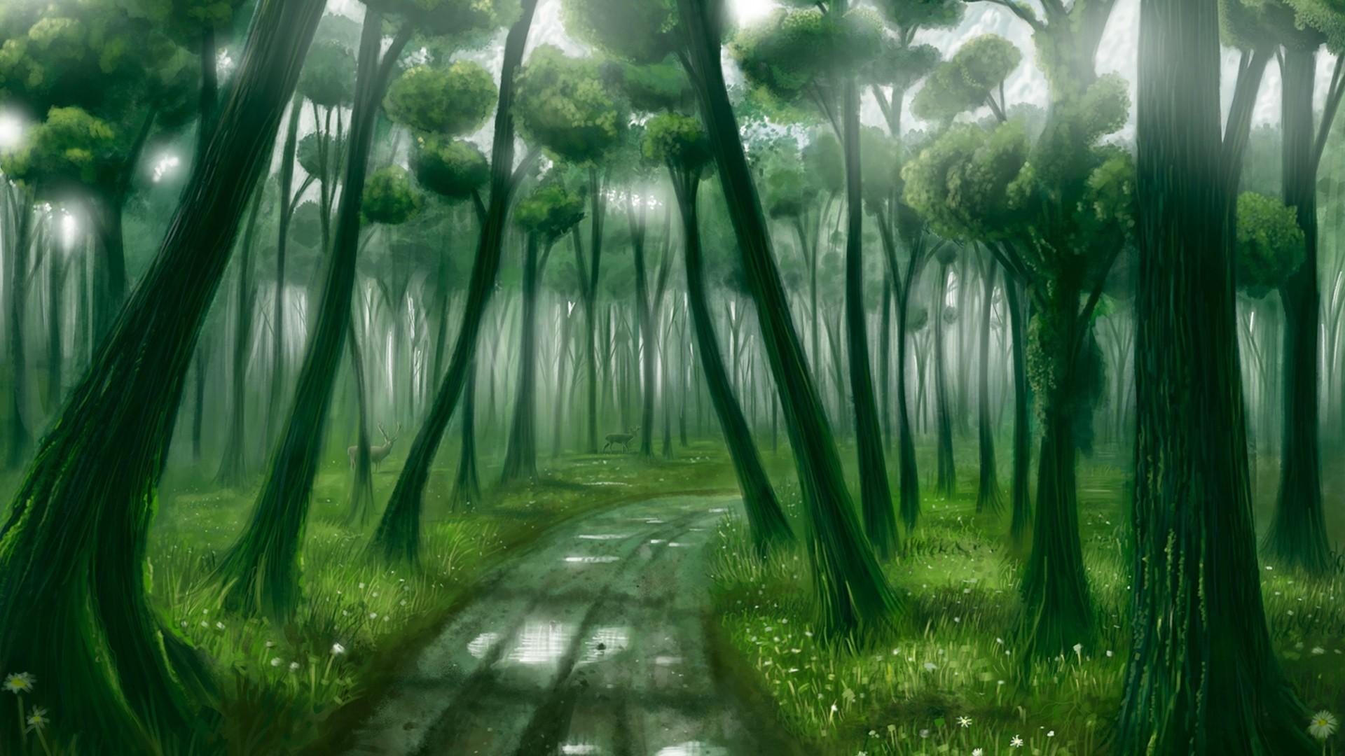 1920x1080 Forests Wallpaper