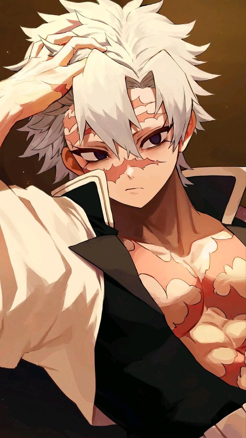 851x1512 Anime Demon Slayer Character