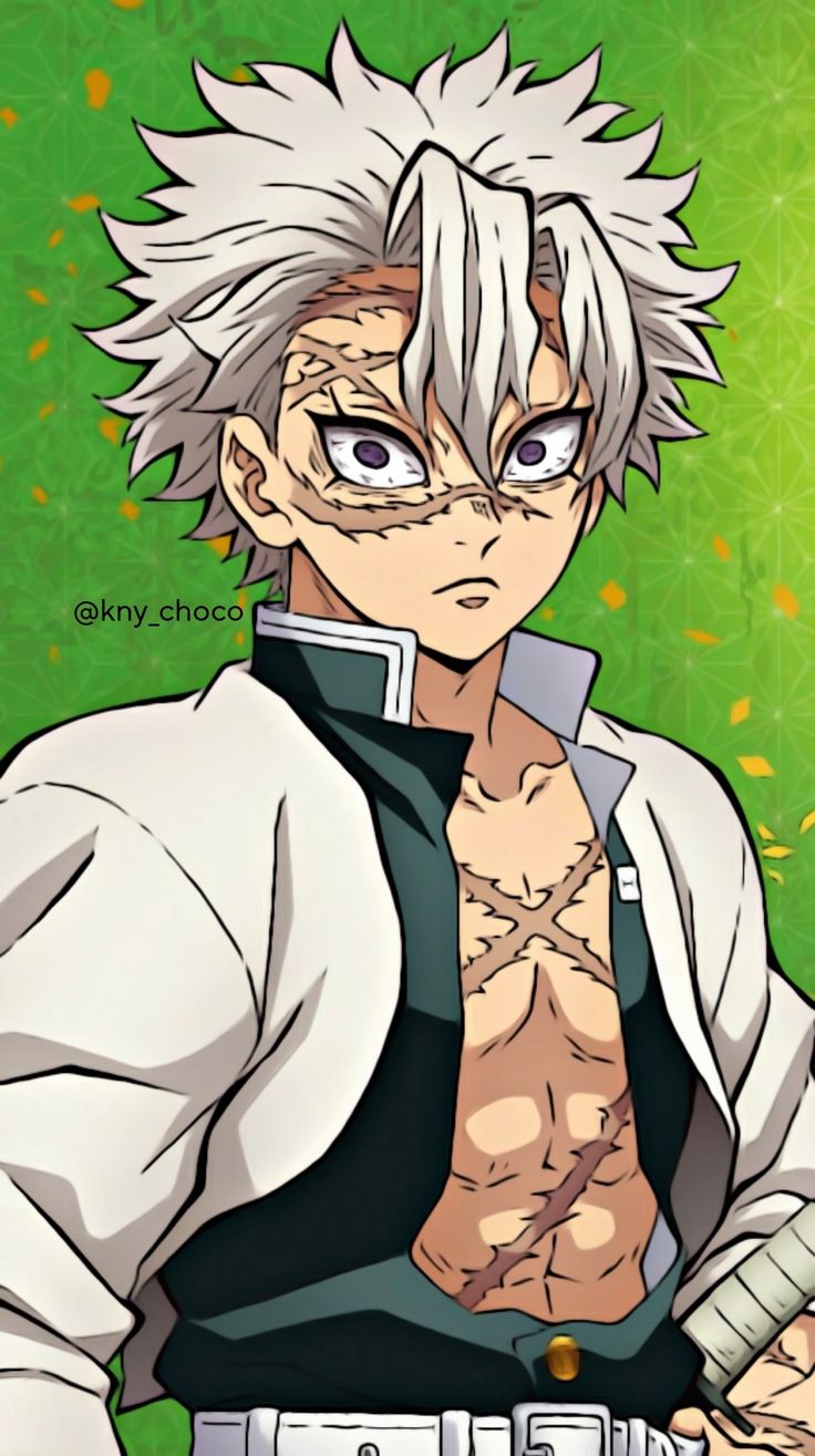 736x1315 Sanemi Wallpaper