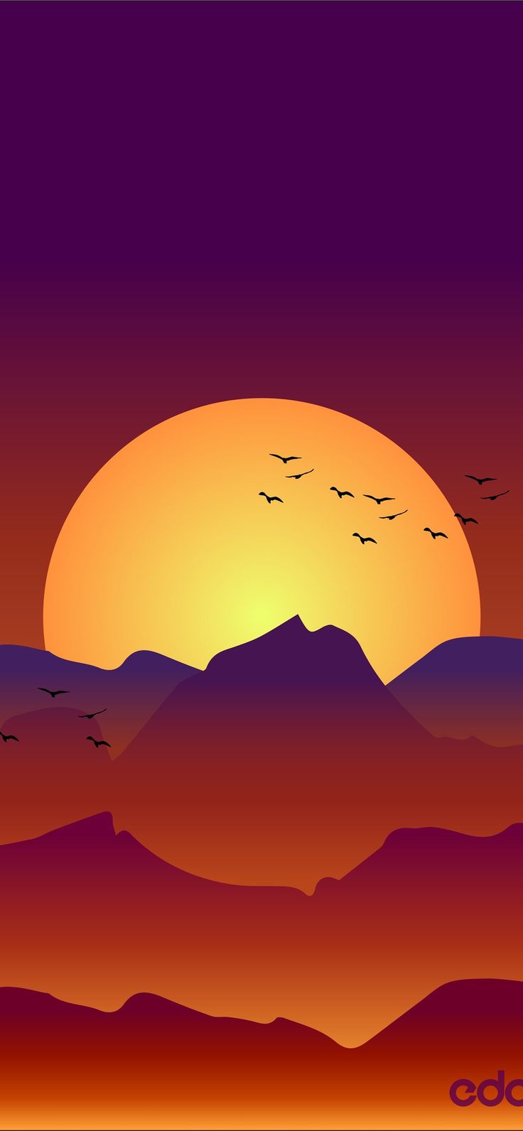 736x1592 sun rise #sunrise. iPhone wallpaper