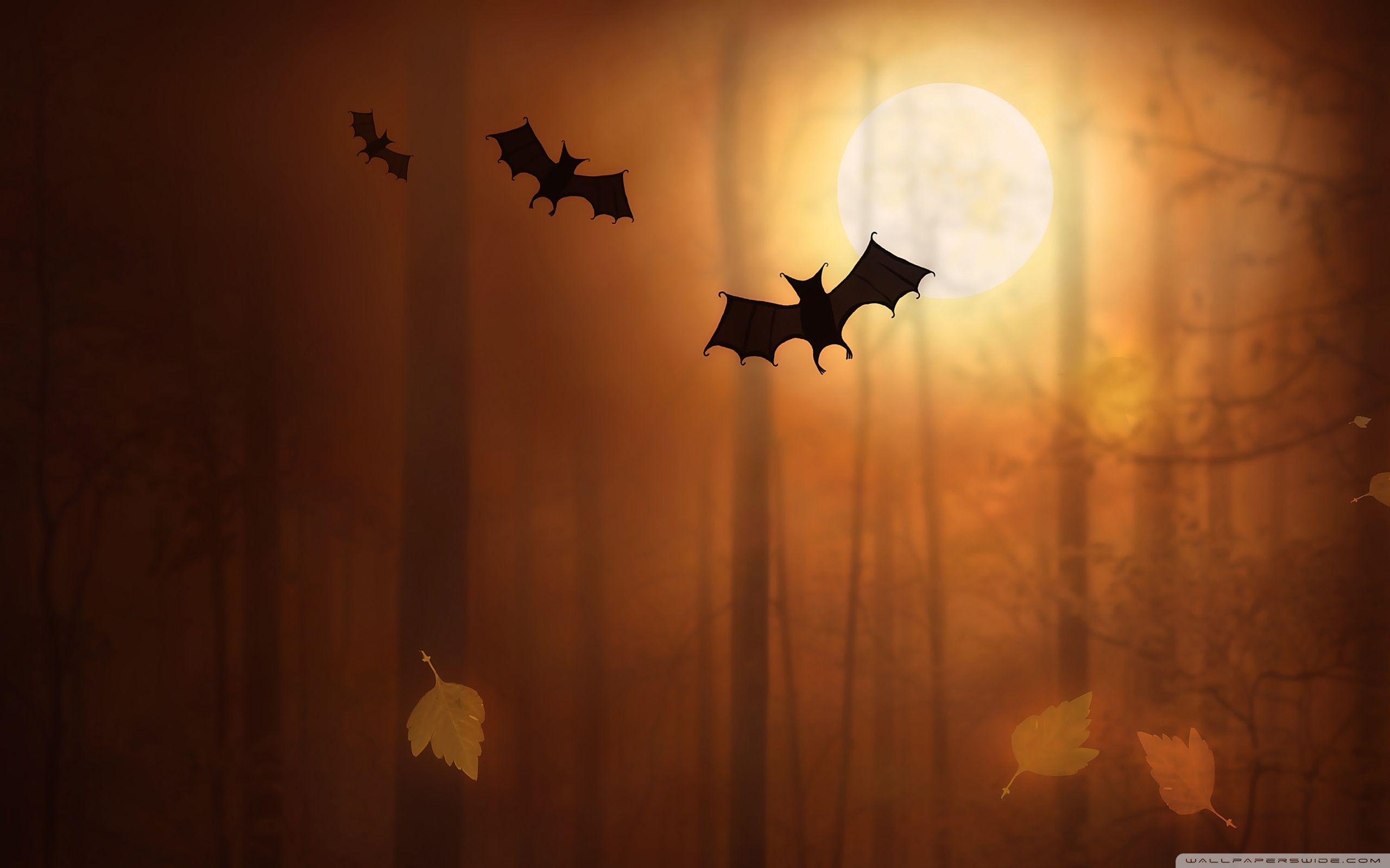 2560x1600 Halloween Bats 4K HD Desktop Wallpaper for • Dual Monitor