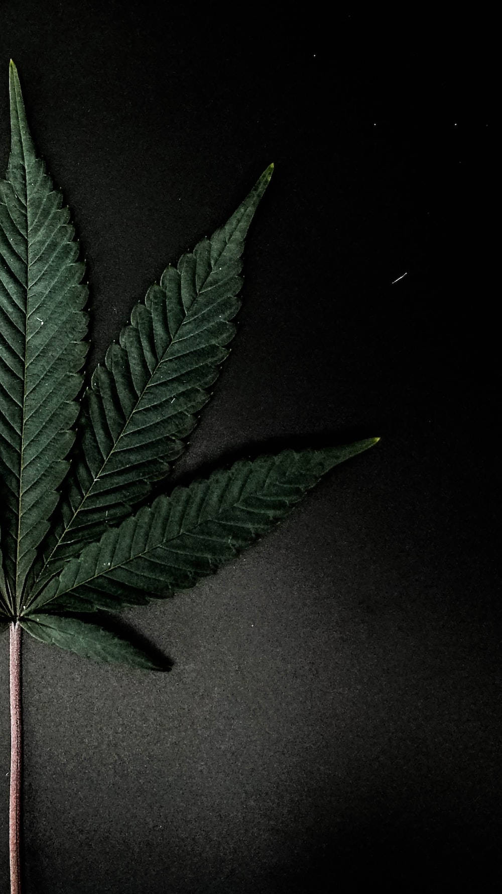 1000x1778 Chill Stoner Weed In Black Wallpaper