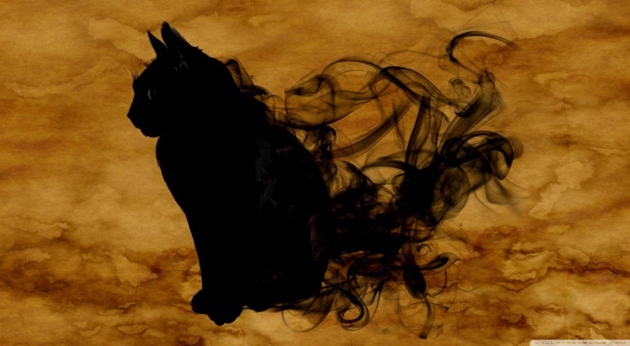 1284x706 Halloween Cat HD Wallpaper
