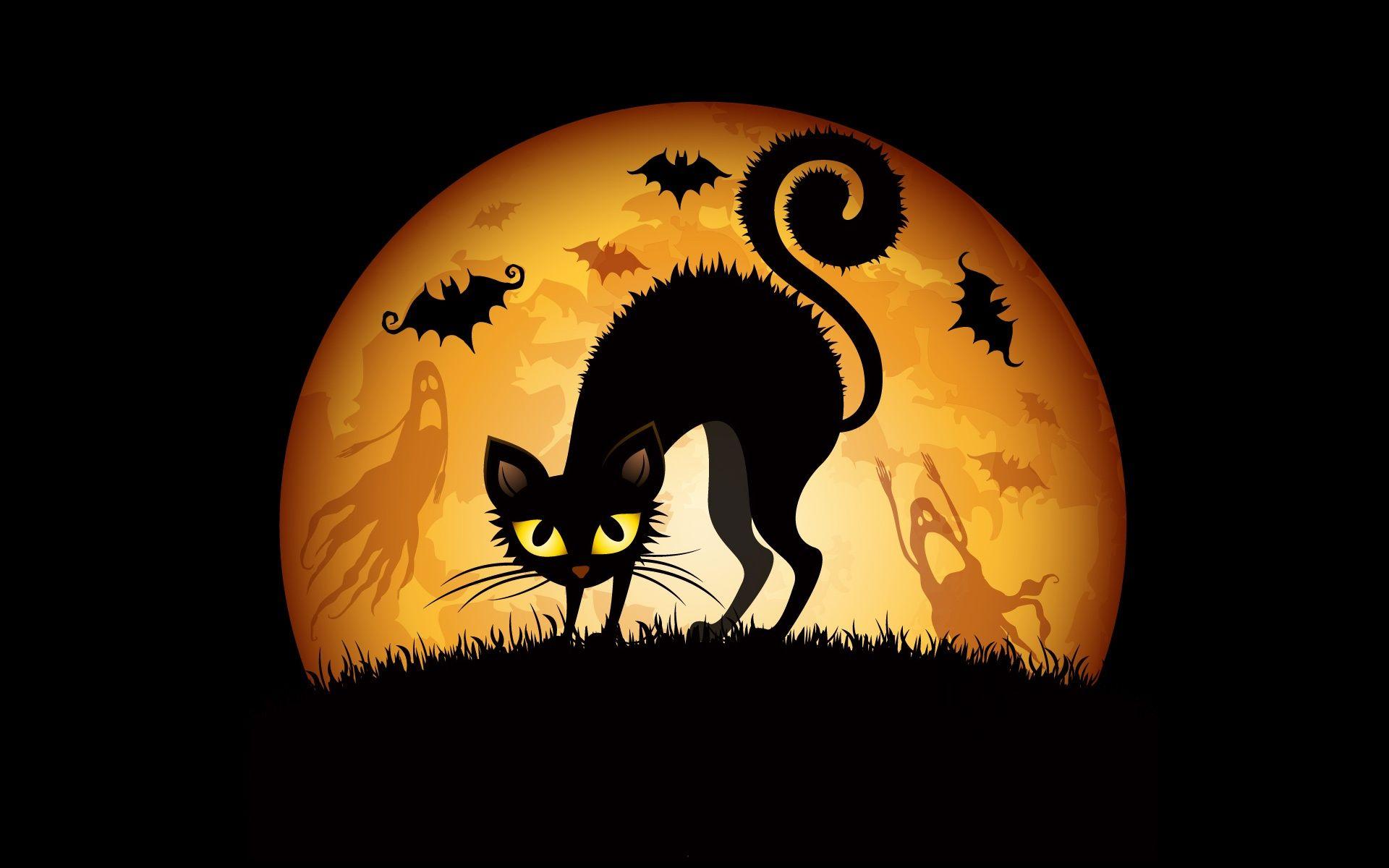 1920x1200 Cute Halloween Cats Wallpaper