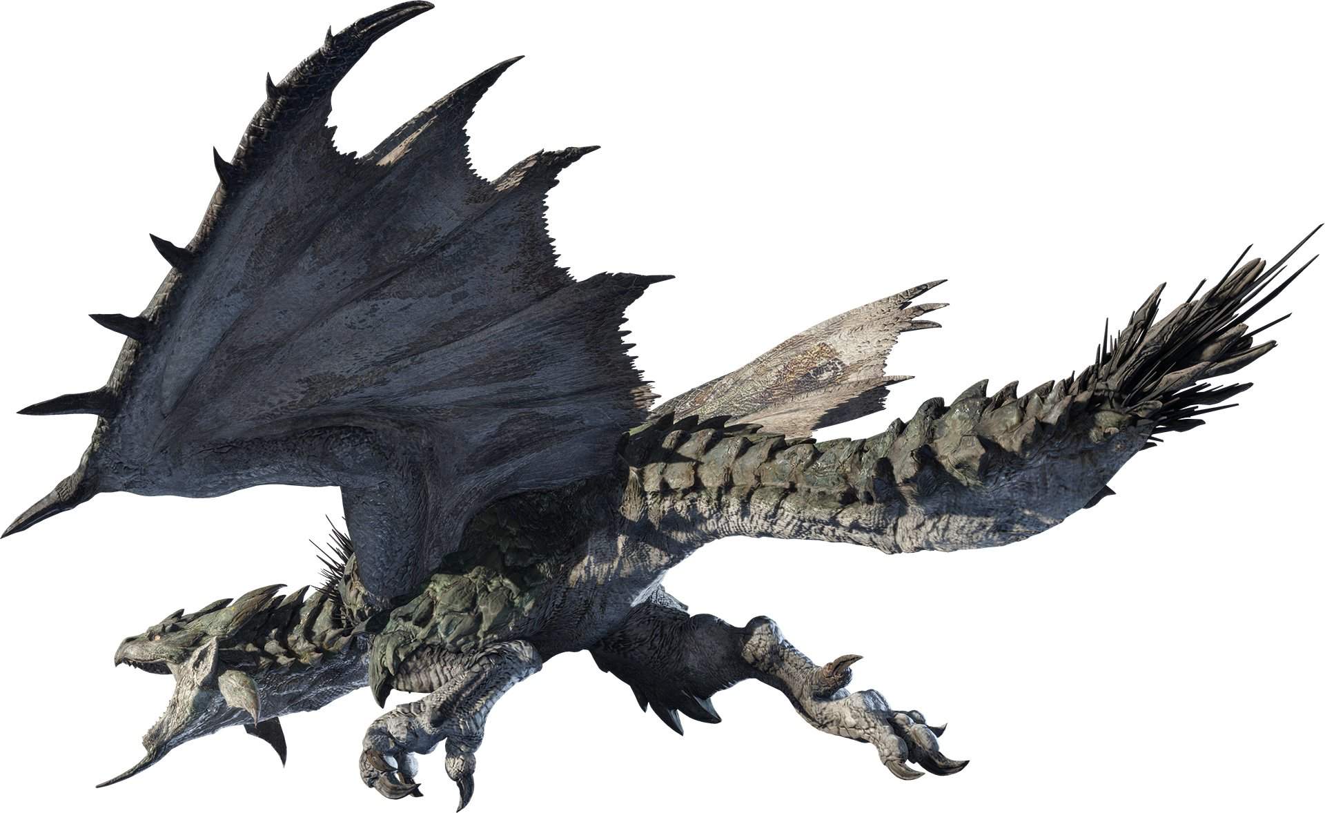 1920x1178 Rathian. Wiki. Monster Hunter Amino