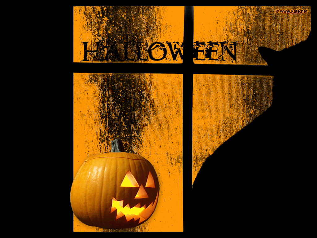 1024x768 Halloween Cat Wallpaper