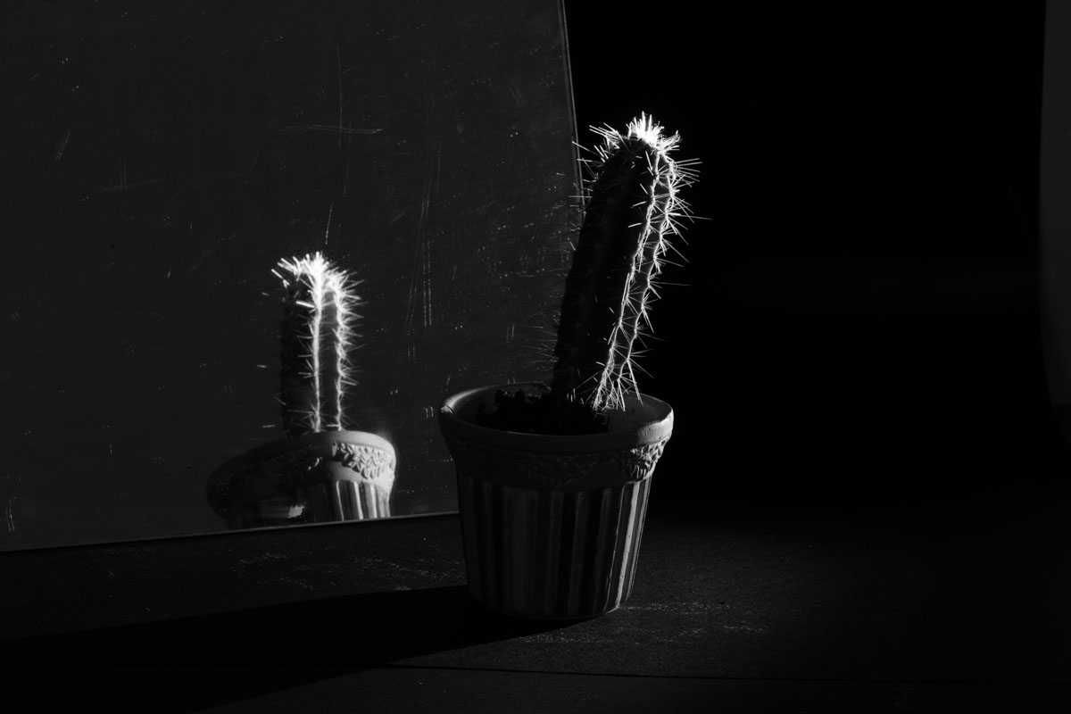 1200x800 Image composition