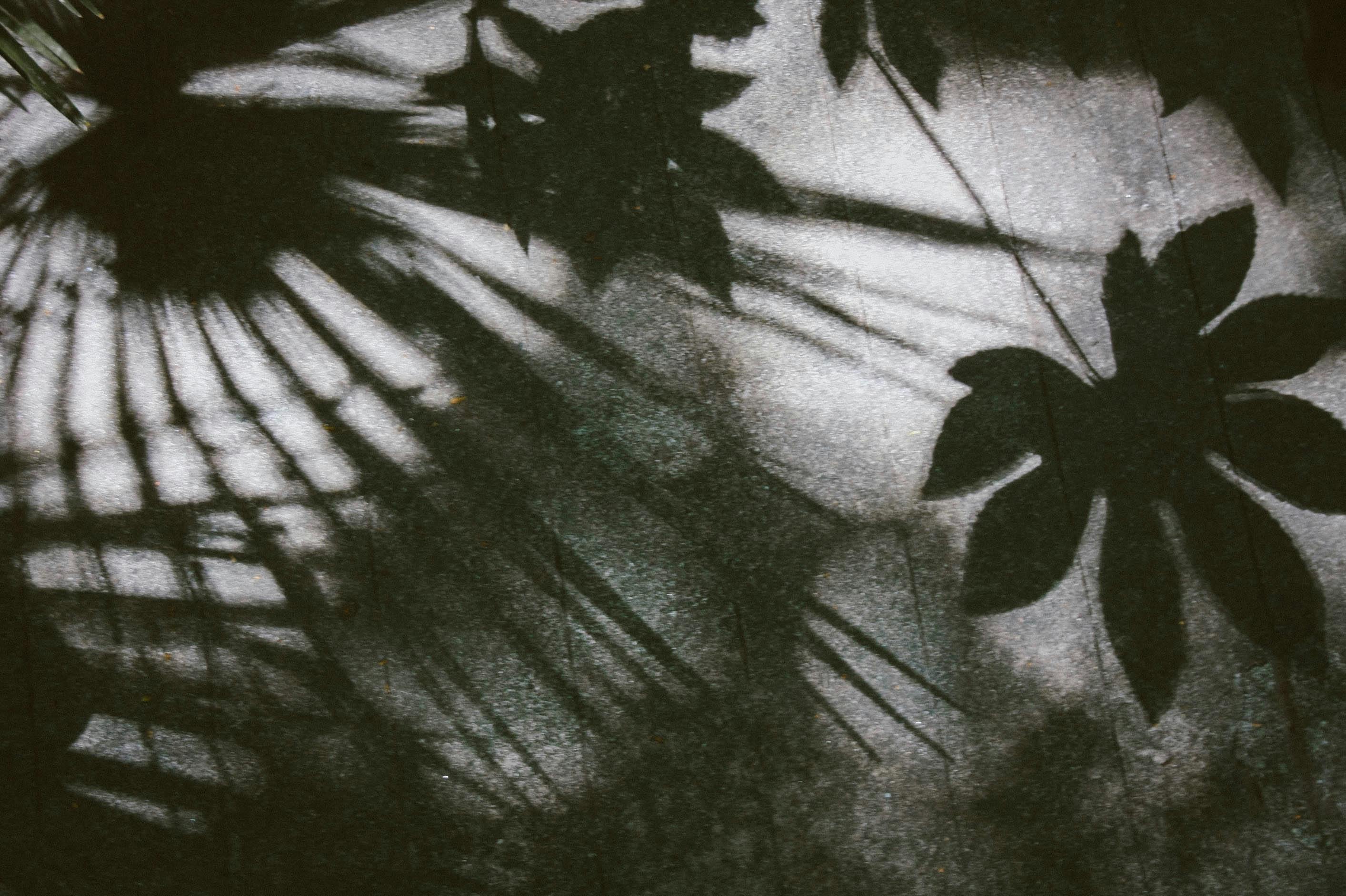 2827x1882 Light And Shadow Photo, Download