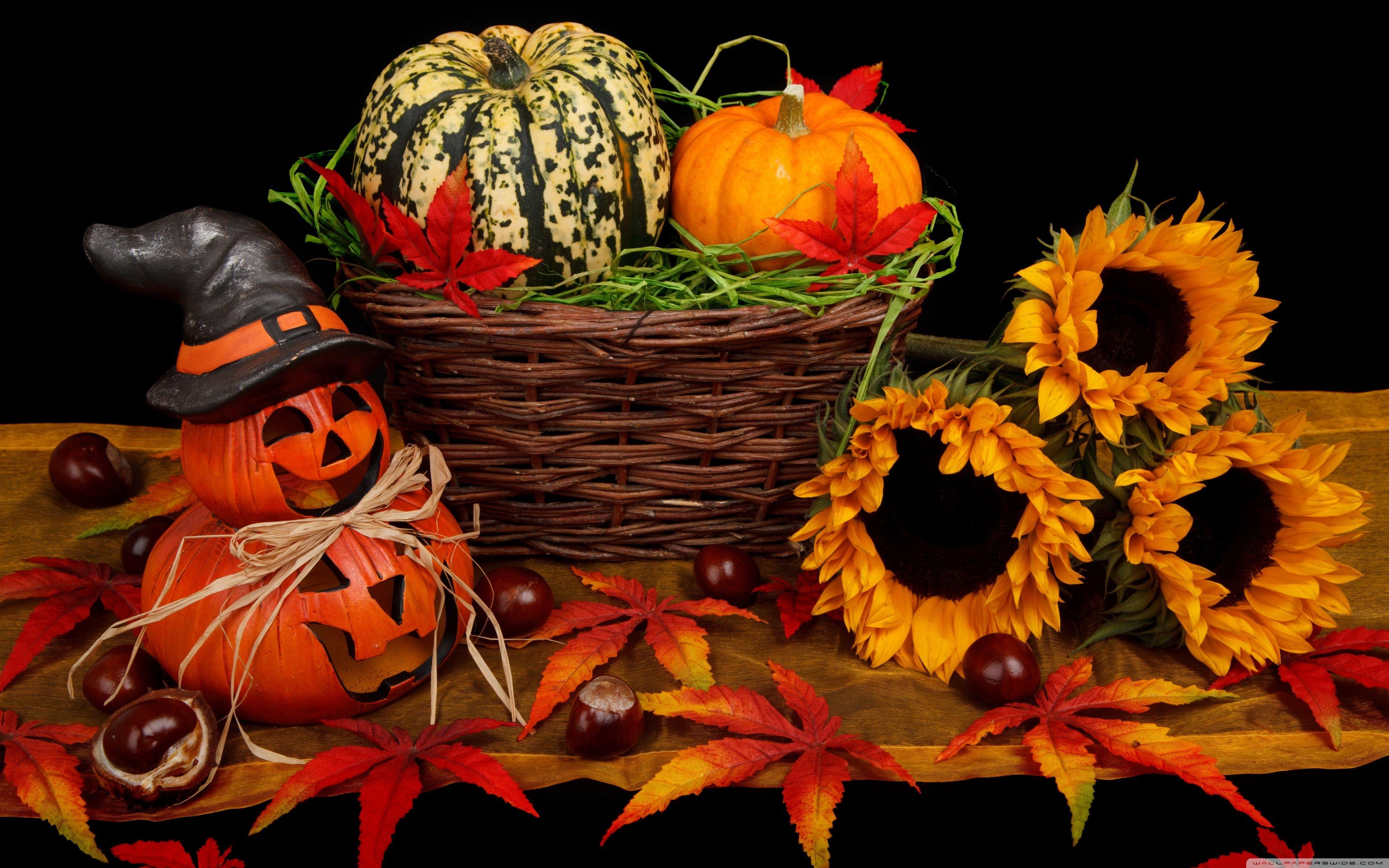 3840x2400 Halloween Decorations 2016 ❤ 4K HD Desktop Wallpaper for 4K