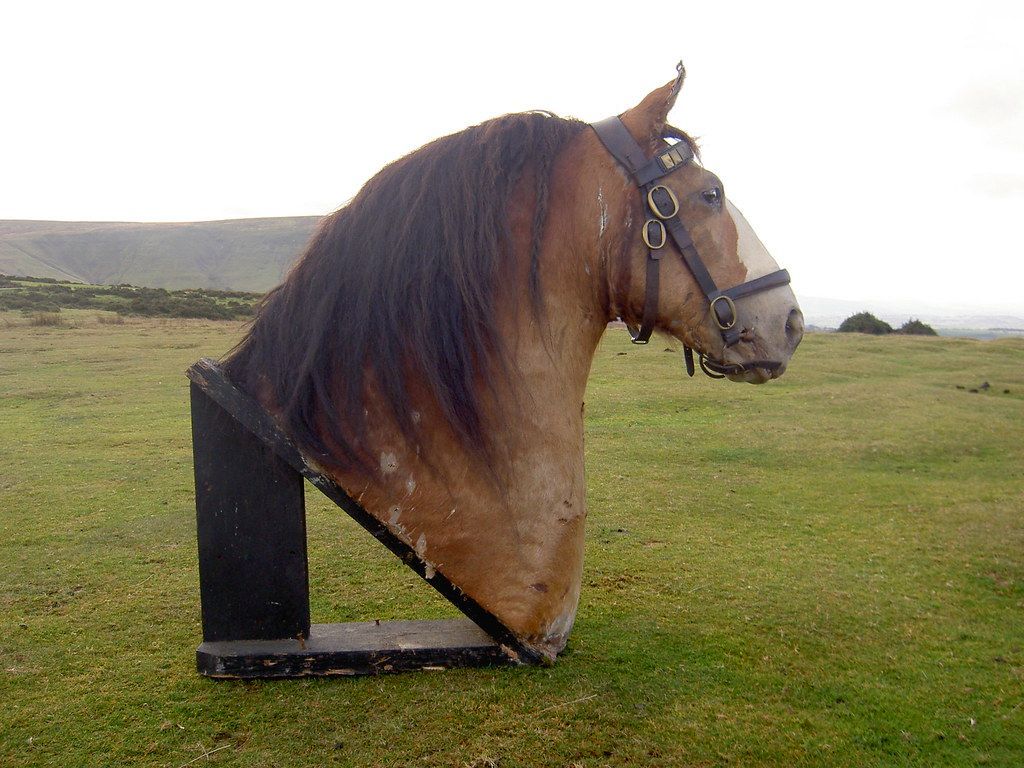 1024x768 Taxidermy Clydesdale Shire Horse