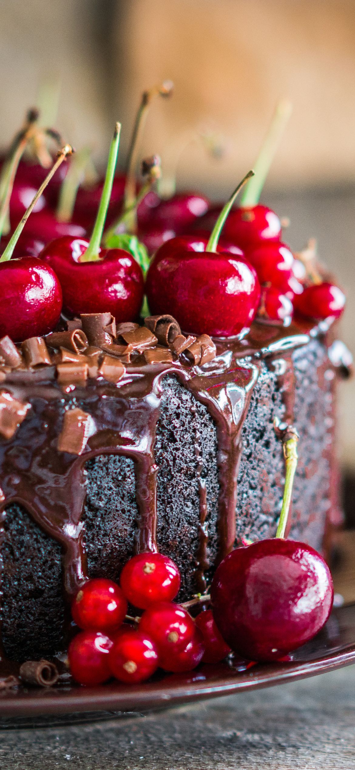 Black Forest Cake Wallpapers Top Free Black Forest Cake Backgrounds