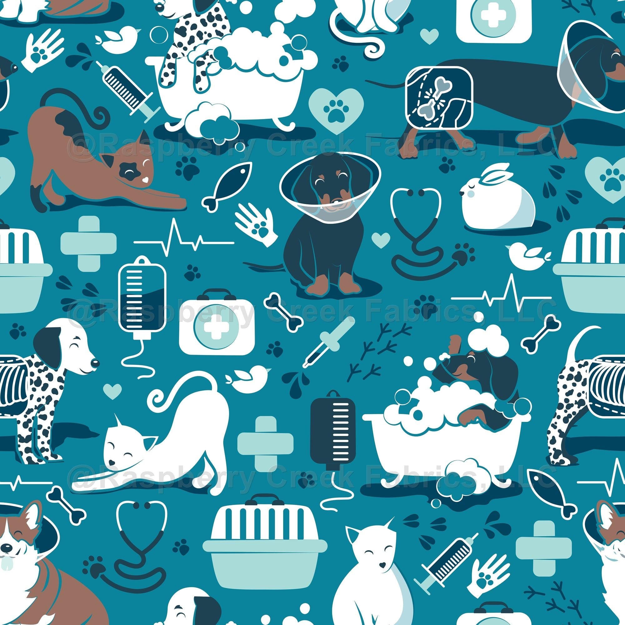 Detailed Veterinary Eye Specialist Picture Photography Detailed Veterinary Eye Specialist Picture Photography