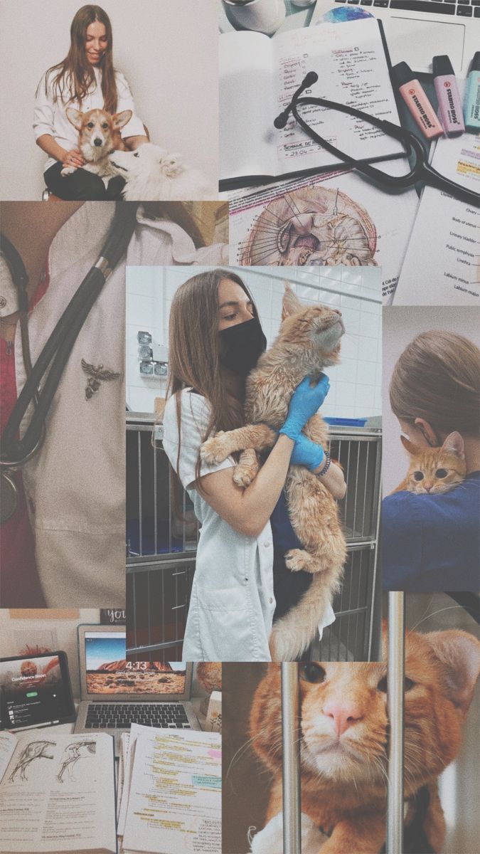675x1200 Veterinary Aesthetics ♥️