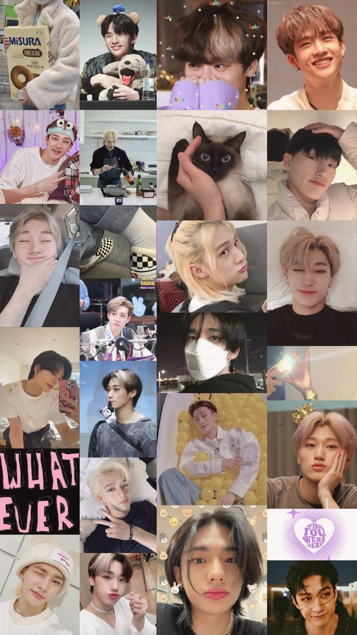 736x1308 Wall Papers