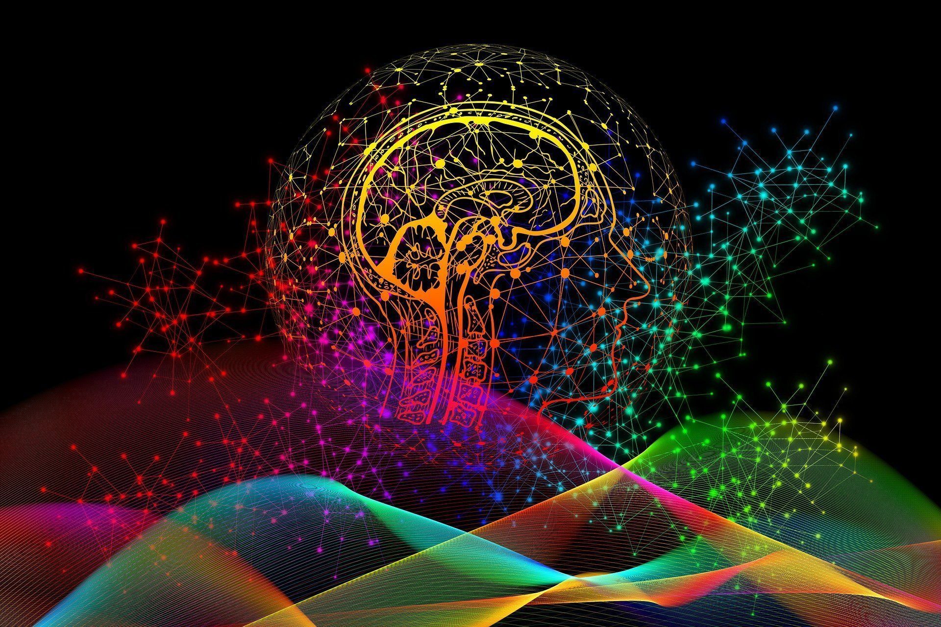1920x1280 Noncognitive Skills, Distinct From