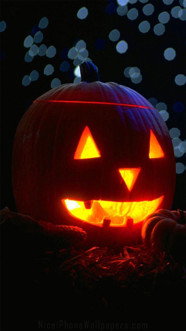 Halloween Pumpkin Iphone Wallpapers Top Free Halloween Pumpkin Halloween Pumpkin Iphone Wallpapers Top Free Halloween Pumpkin