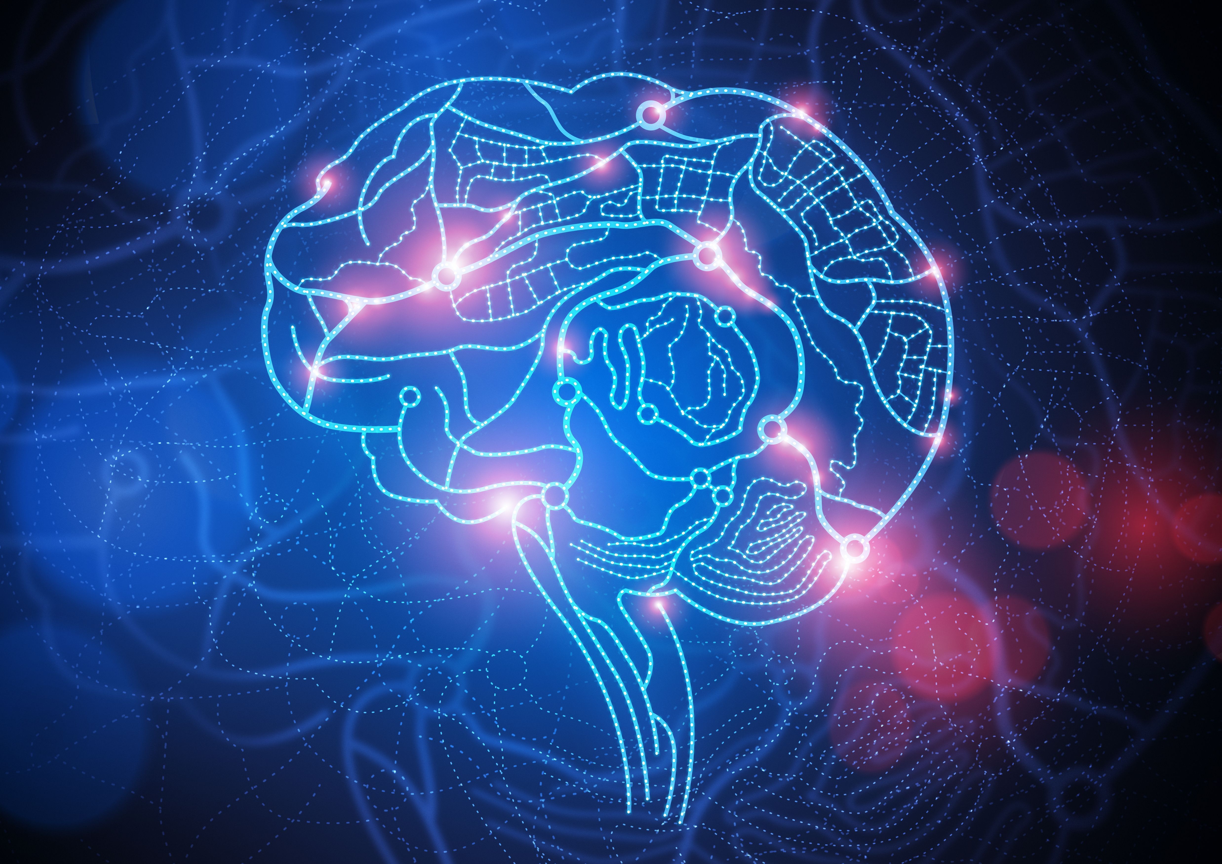 4950x3500 Hormone Causes Decline in Cognition
