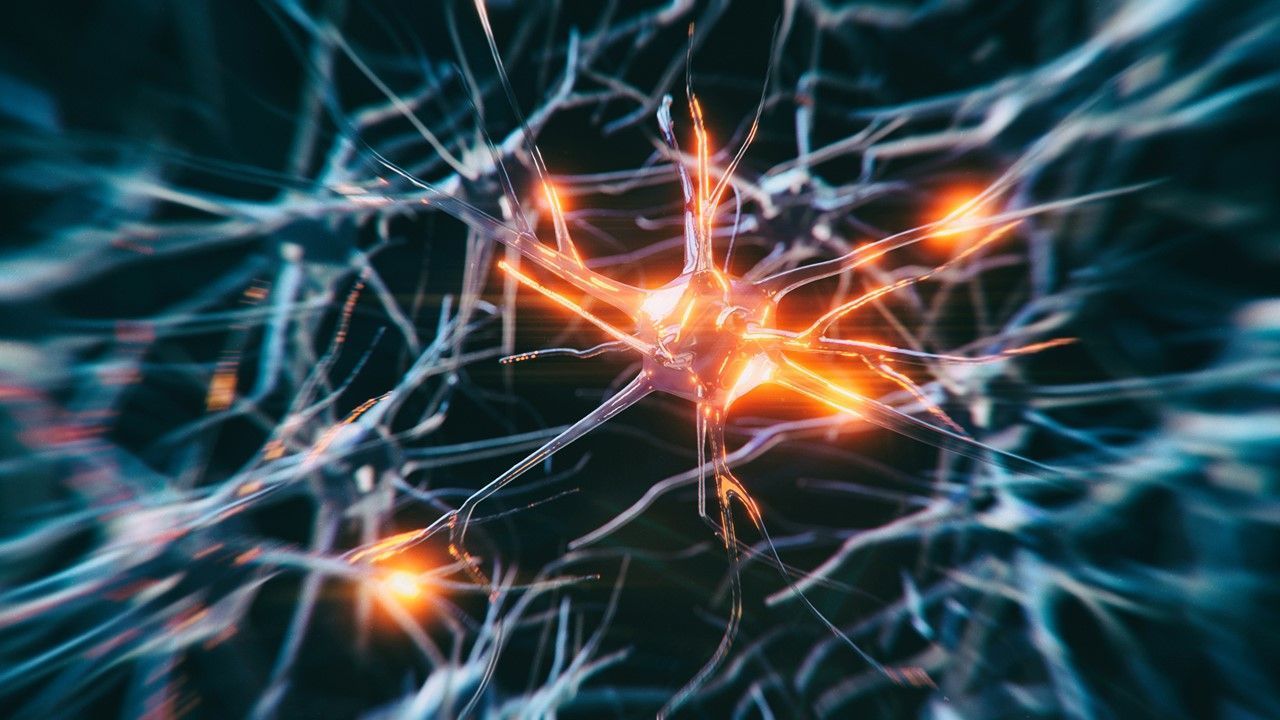 1280x720 This Protein May Predict Mild Cognitive