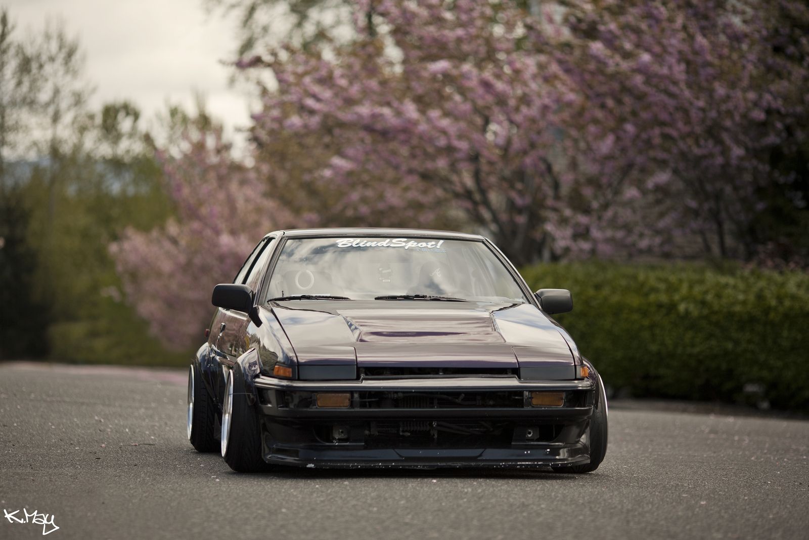 1600x1067 Hachi Roku Sitting Right