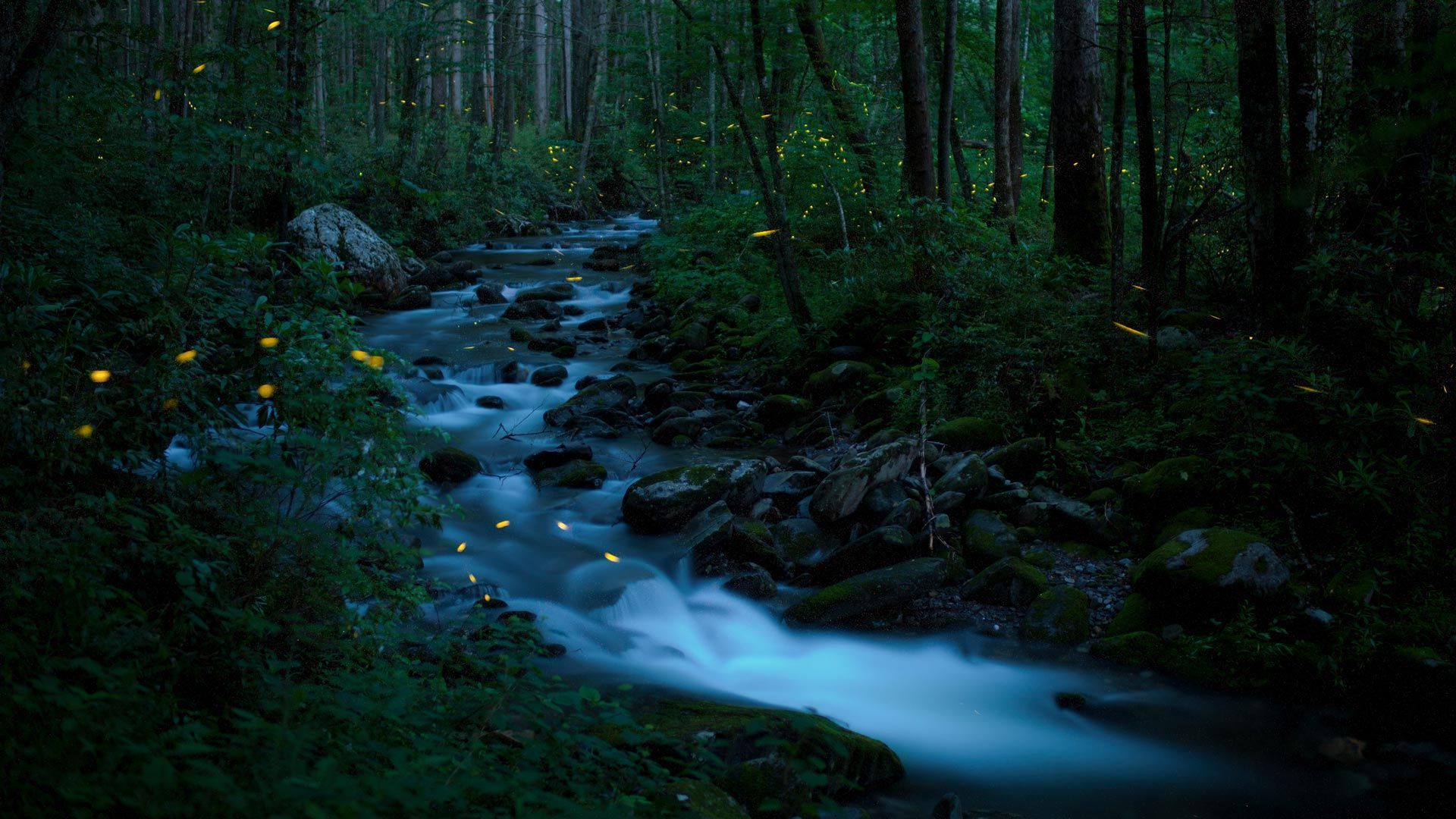 1920x1080 Nature Photography Day Wallpaper