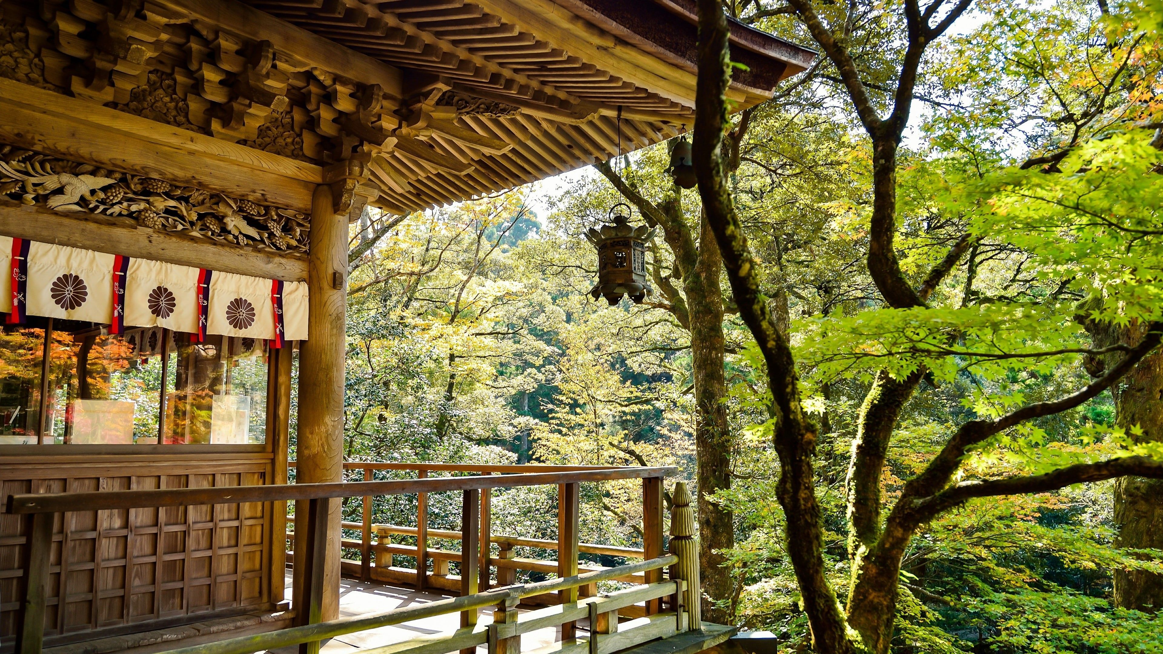 3840x2160 window, ryokan, plant, japan