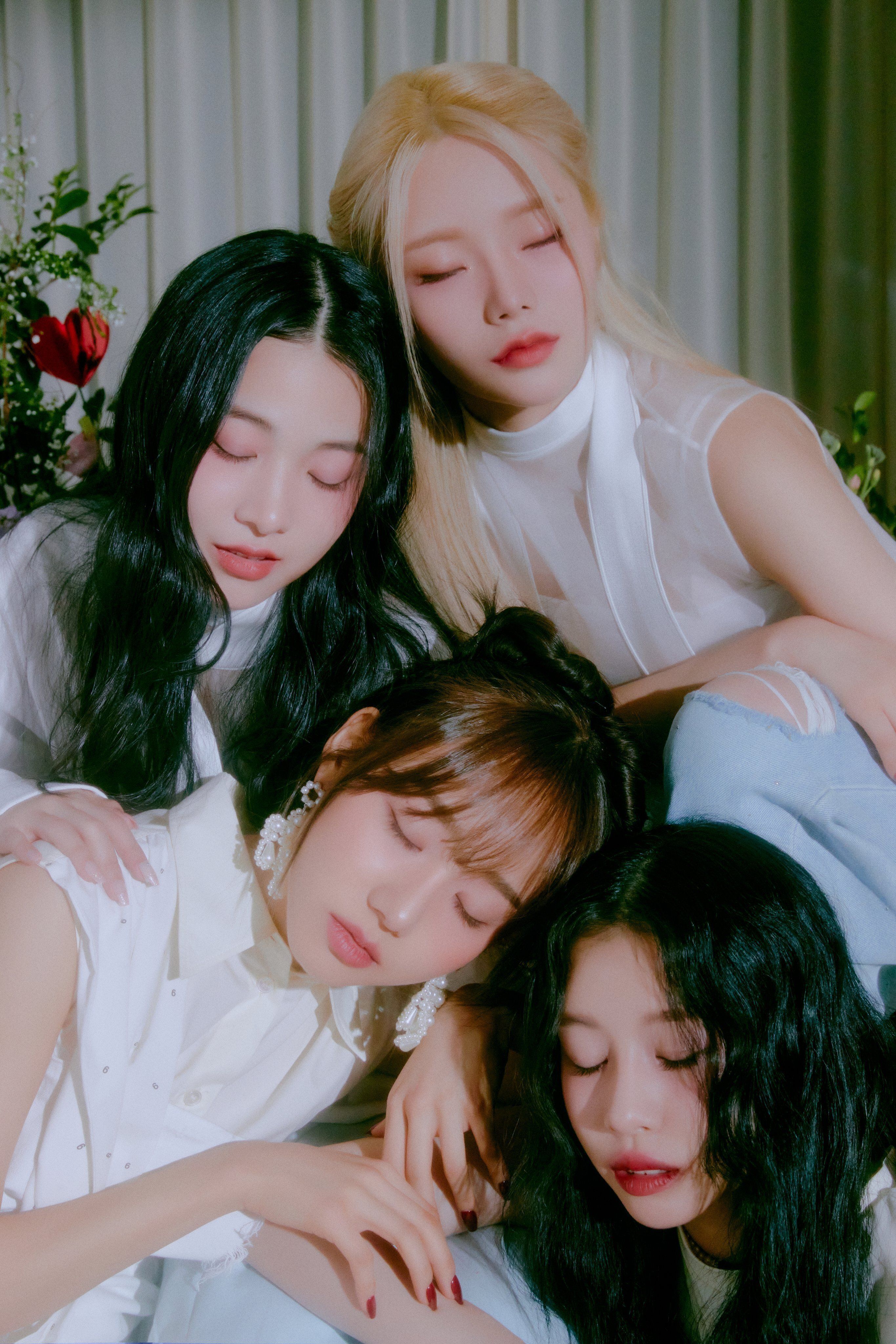 Fifty Fifty Wallpapers - Top Free Fifty Fifty Backgrounds - WallpaperAccess