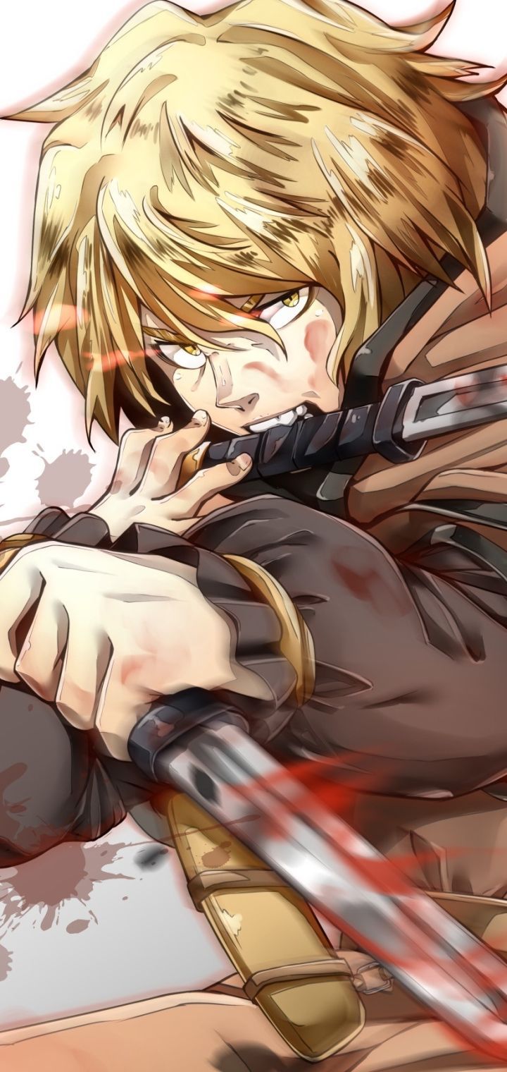 720x1520 Mobile wallpaper: Anime, Vinland Saga