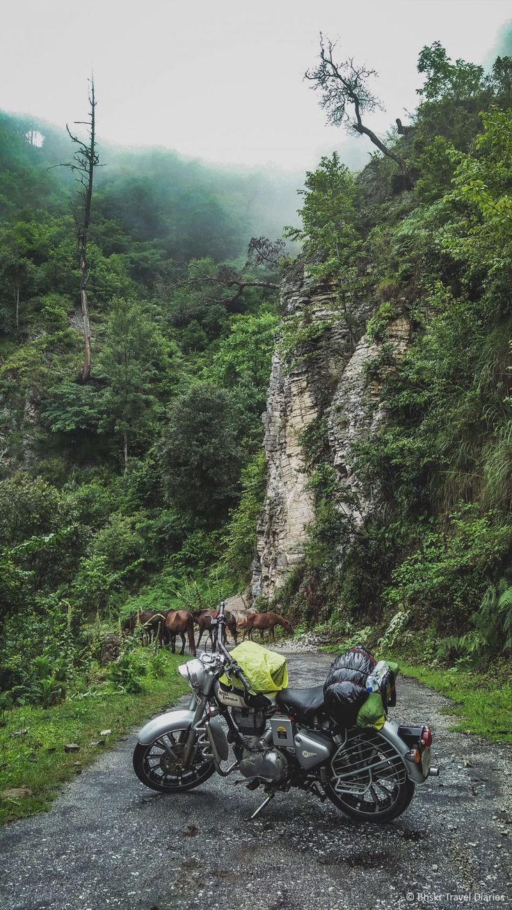 736x1308 Travel
