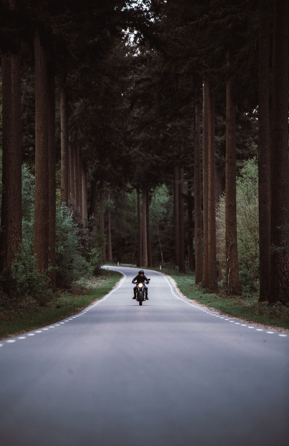 1000x1541 Motorcyclist Wallpaper
