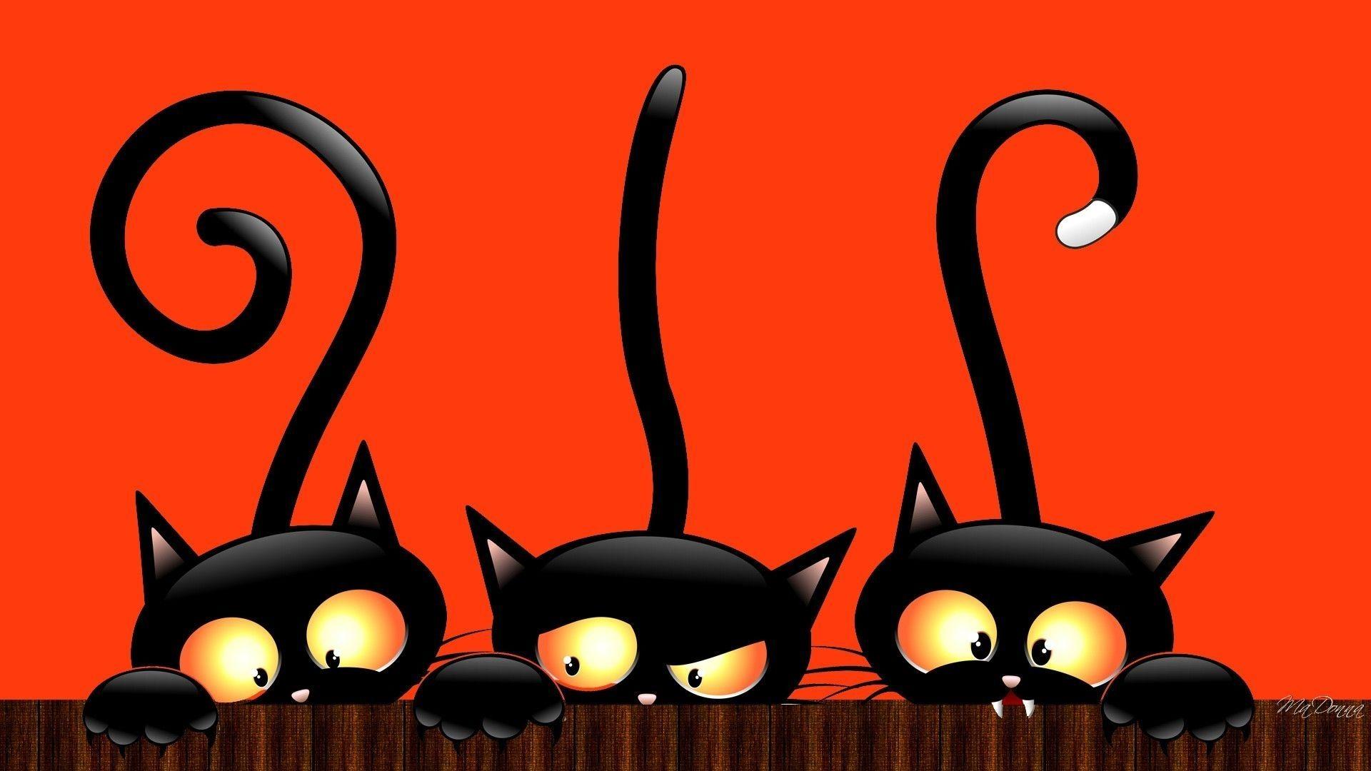 1920x1080 New Cute Cat Halloween Background FULL HD 1920×1080