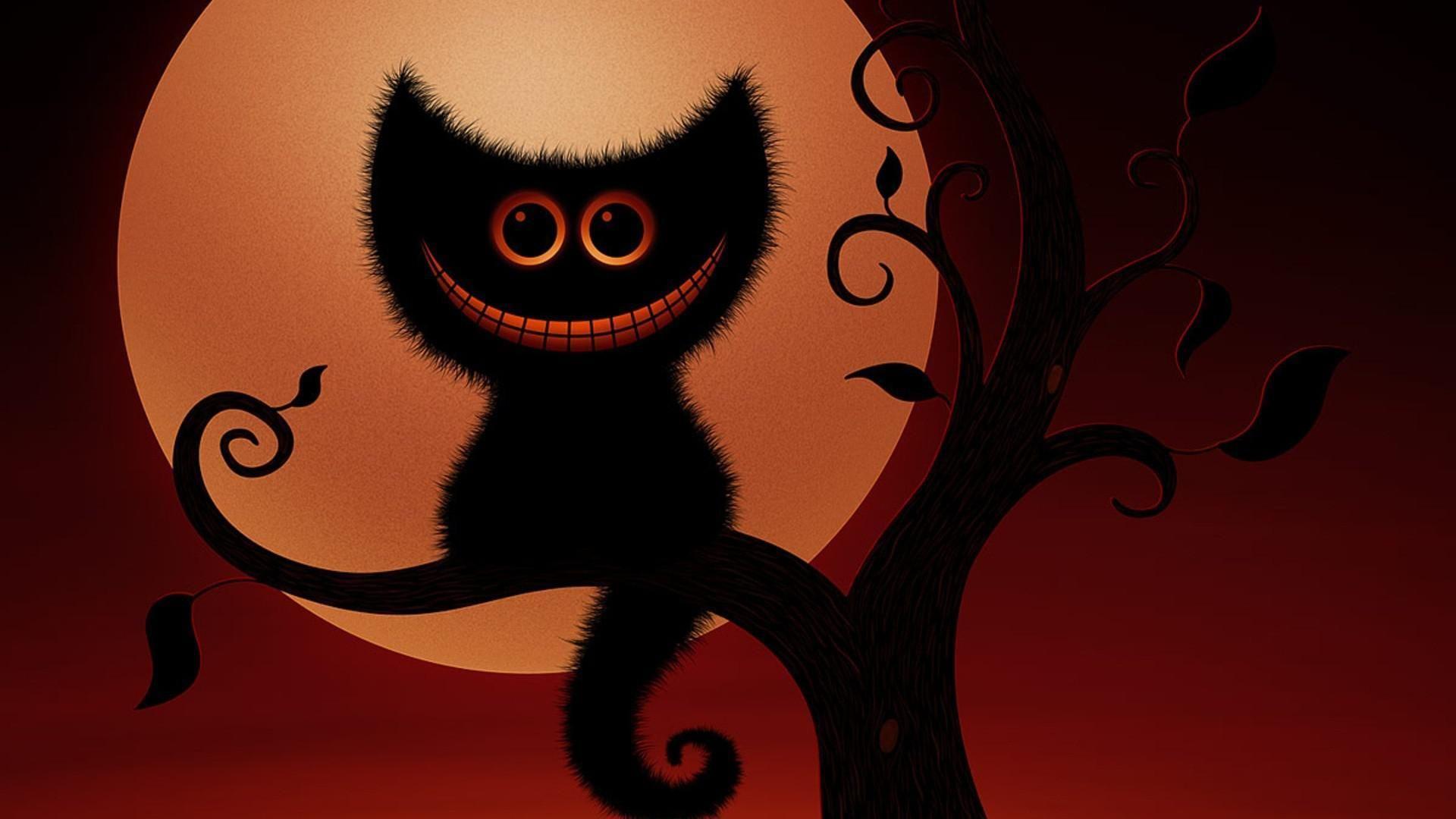 1920x1080 Funny Halloween Cat HD desktop wallpaper : Widescreen : High