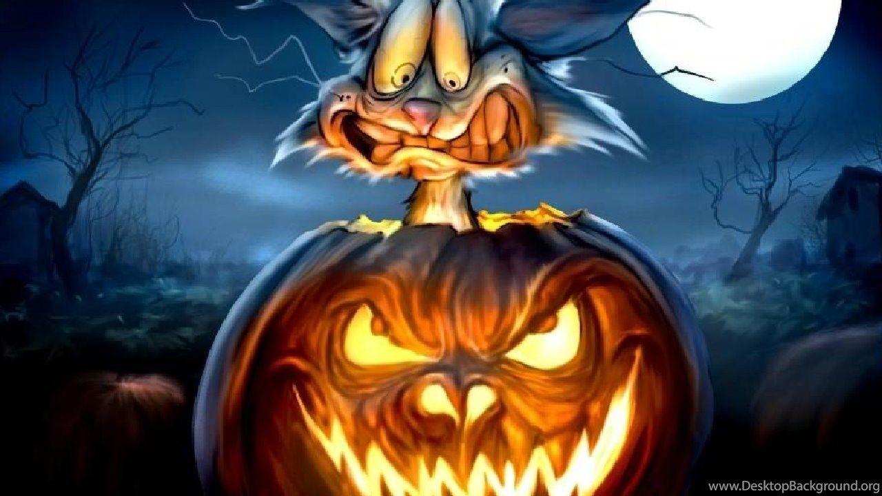 1280x720 Halloween Cat In Pumpkin Wallpaper HD. Free Desktop
