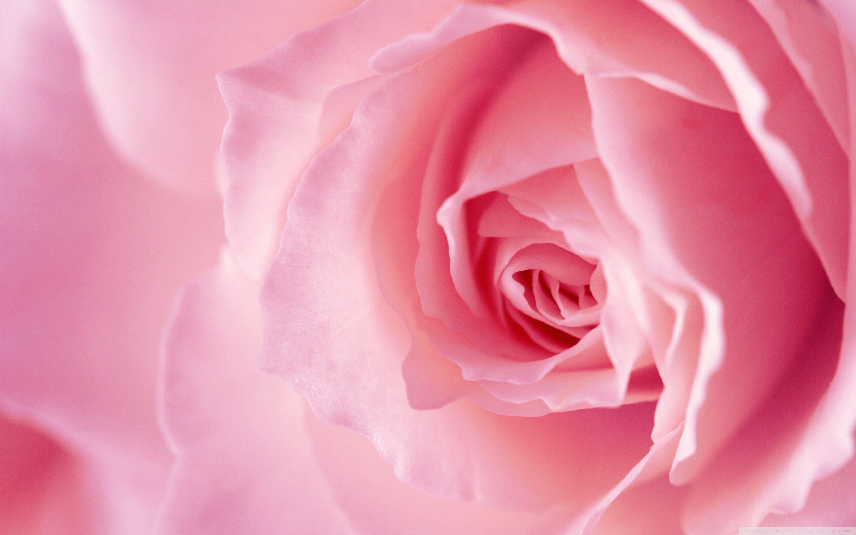2880x1800 Girly wallpaper desktop