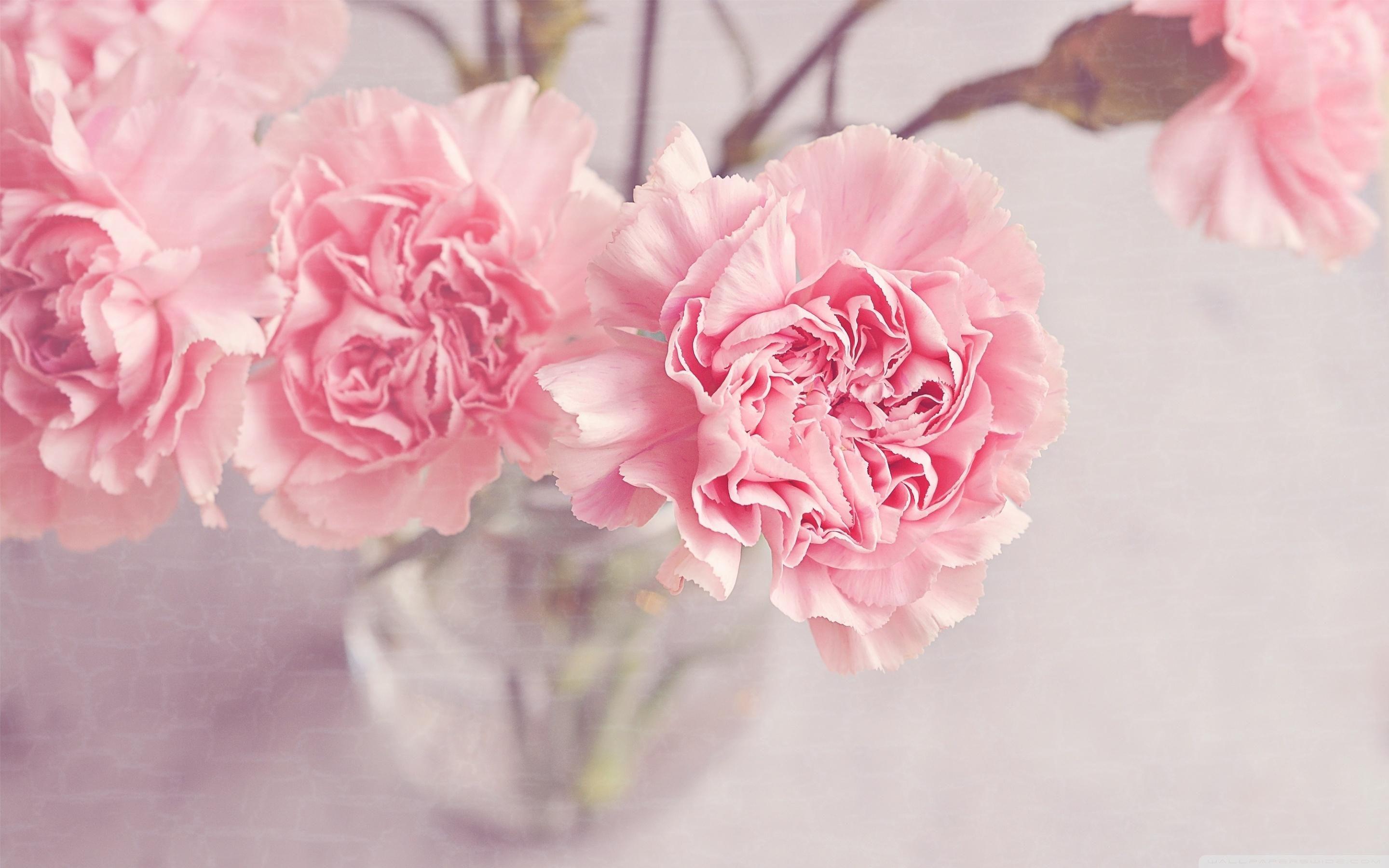 2880x1800 Full HD Cute Wallpaper