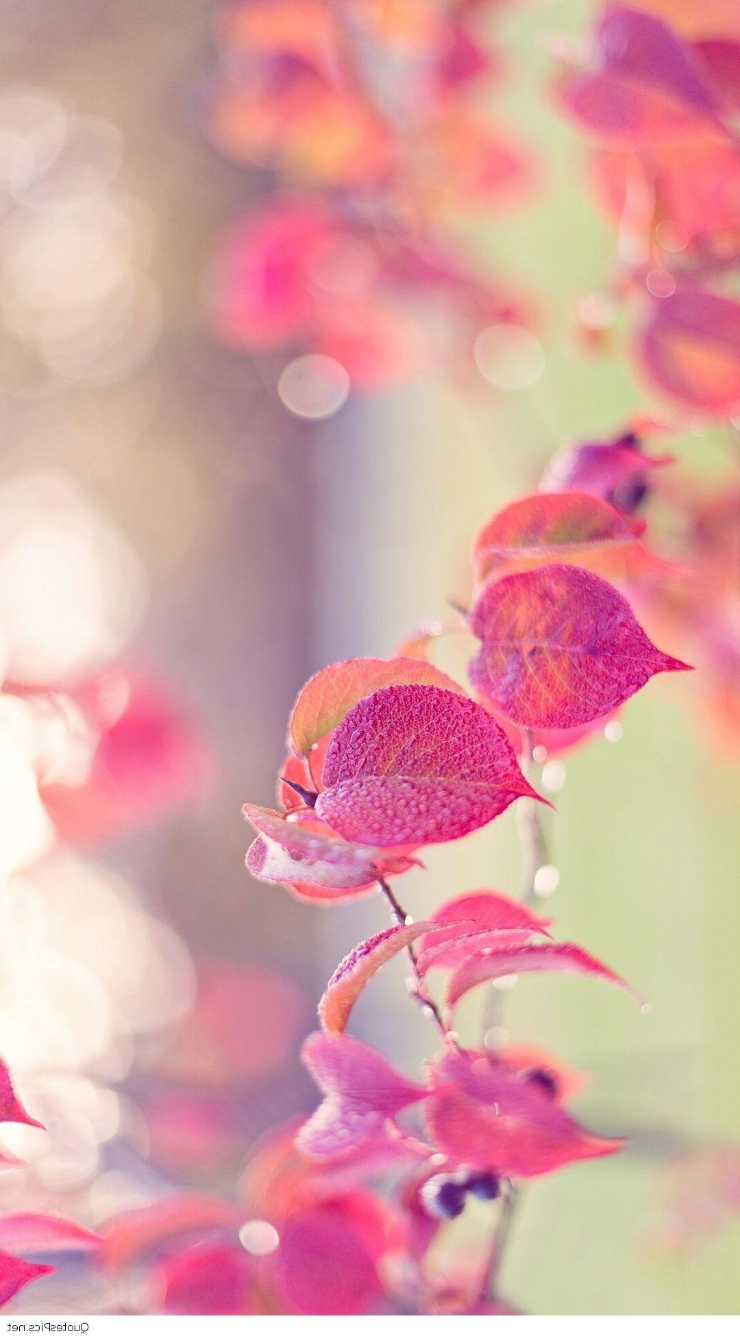 1080x1950 Pretty Girly Wallpaper for iPhone (30 + Background Picture)