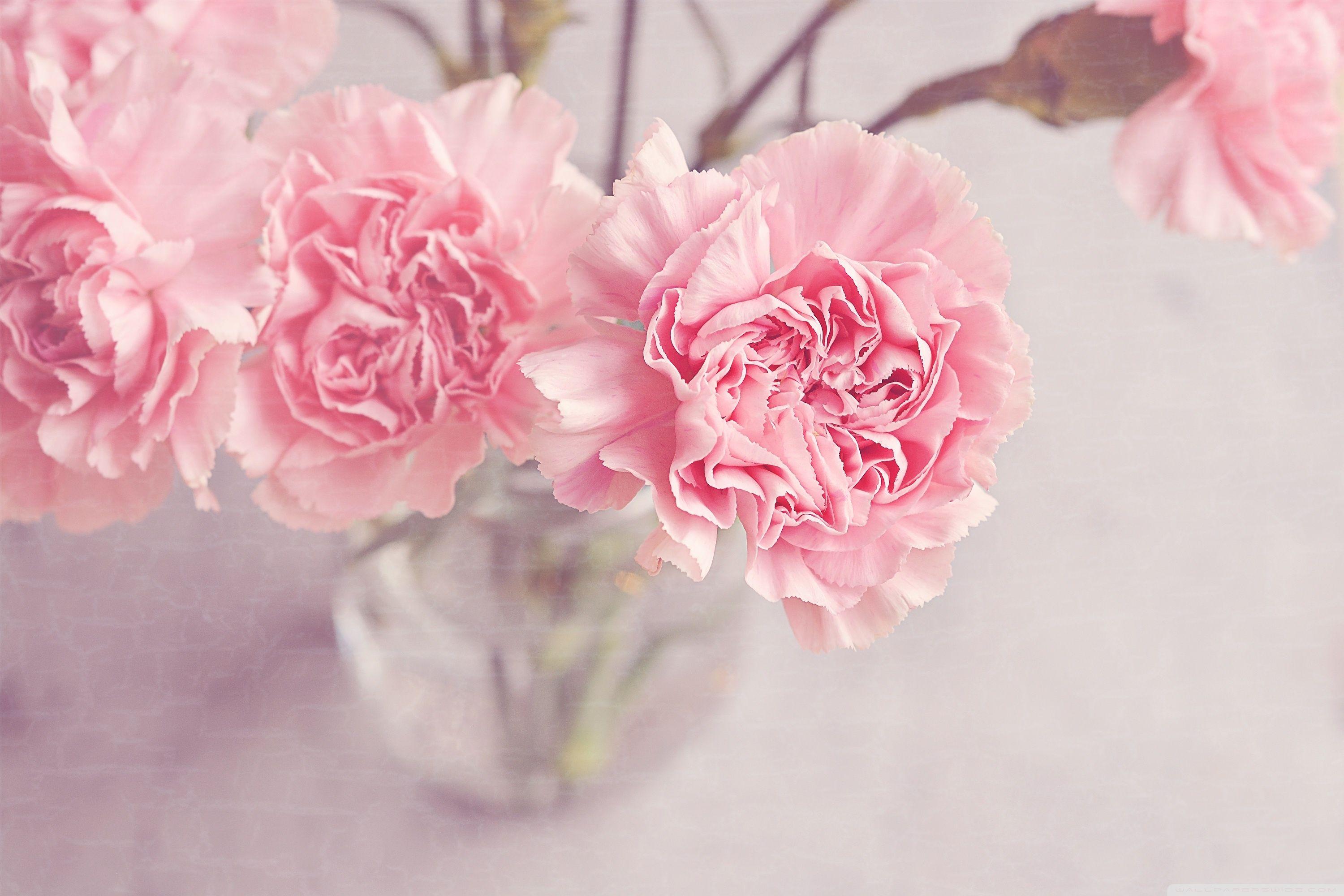 3000x2000 Cute Girly HD Wallpaper For Mobile Wallpaperjpg Com Your