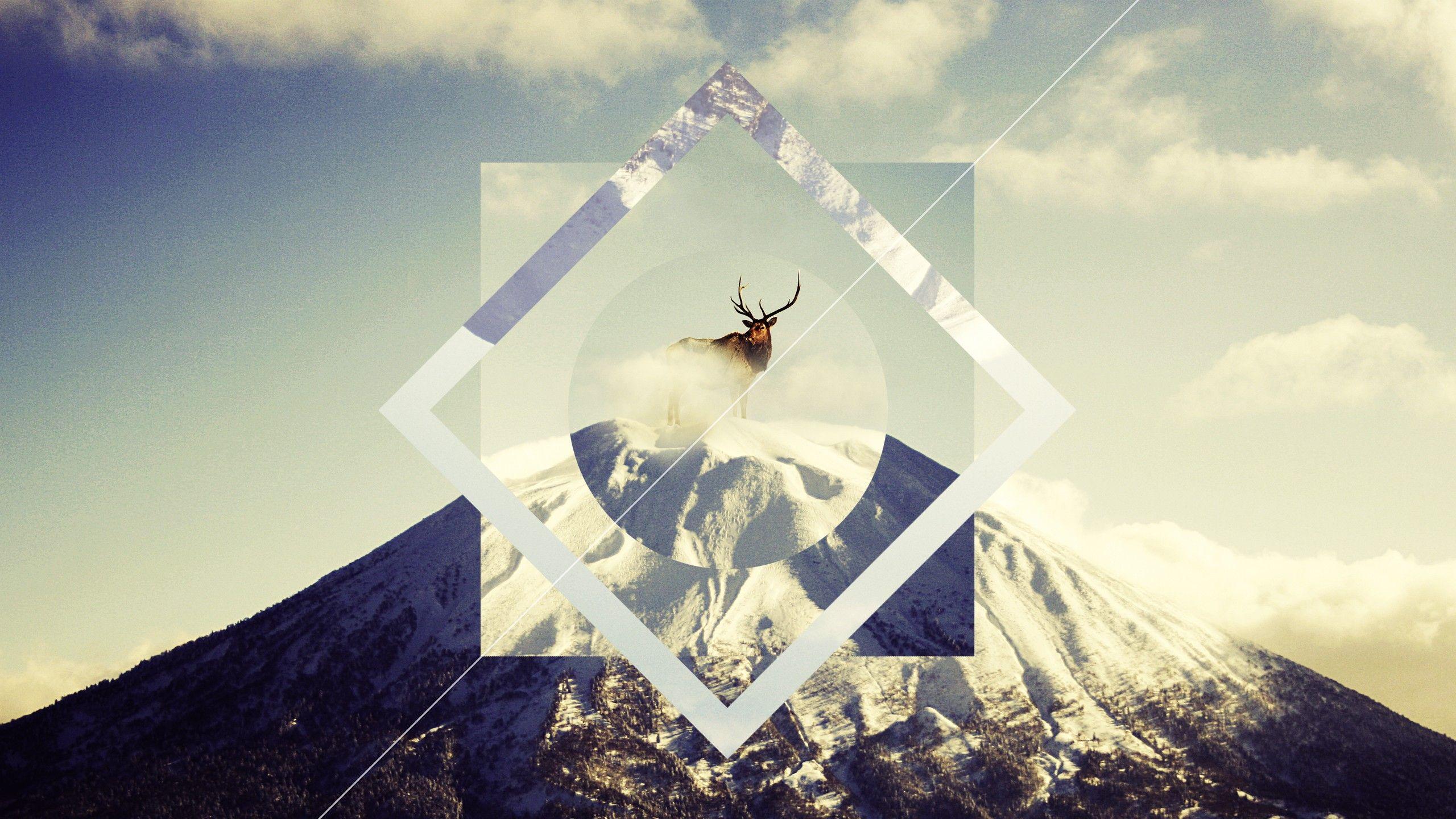 2560x1440 Wallpaper Hipster