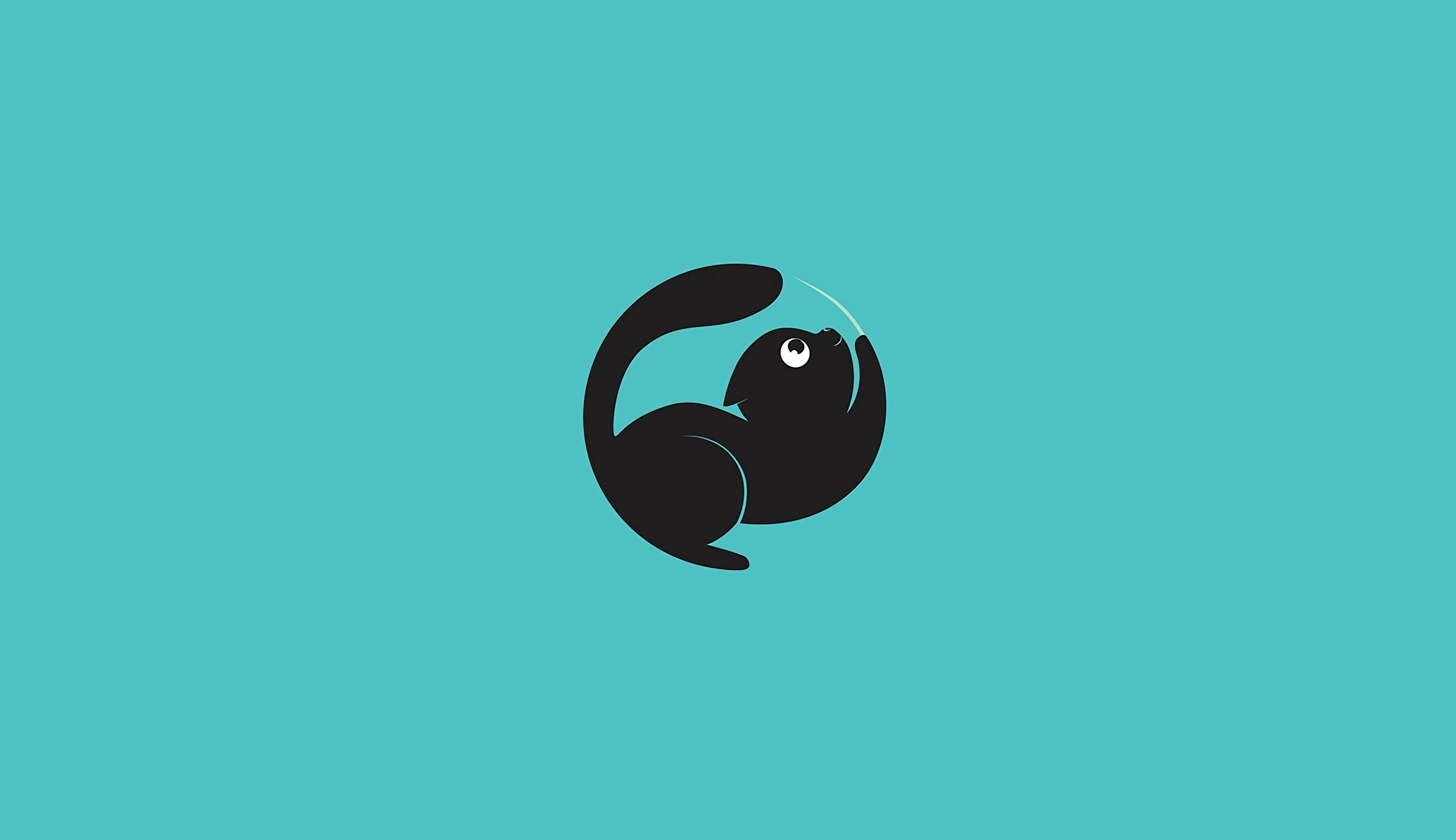 Minimalist Cat Wallpapers - Top Free Minimalist Cat Backgrounds