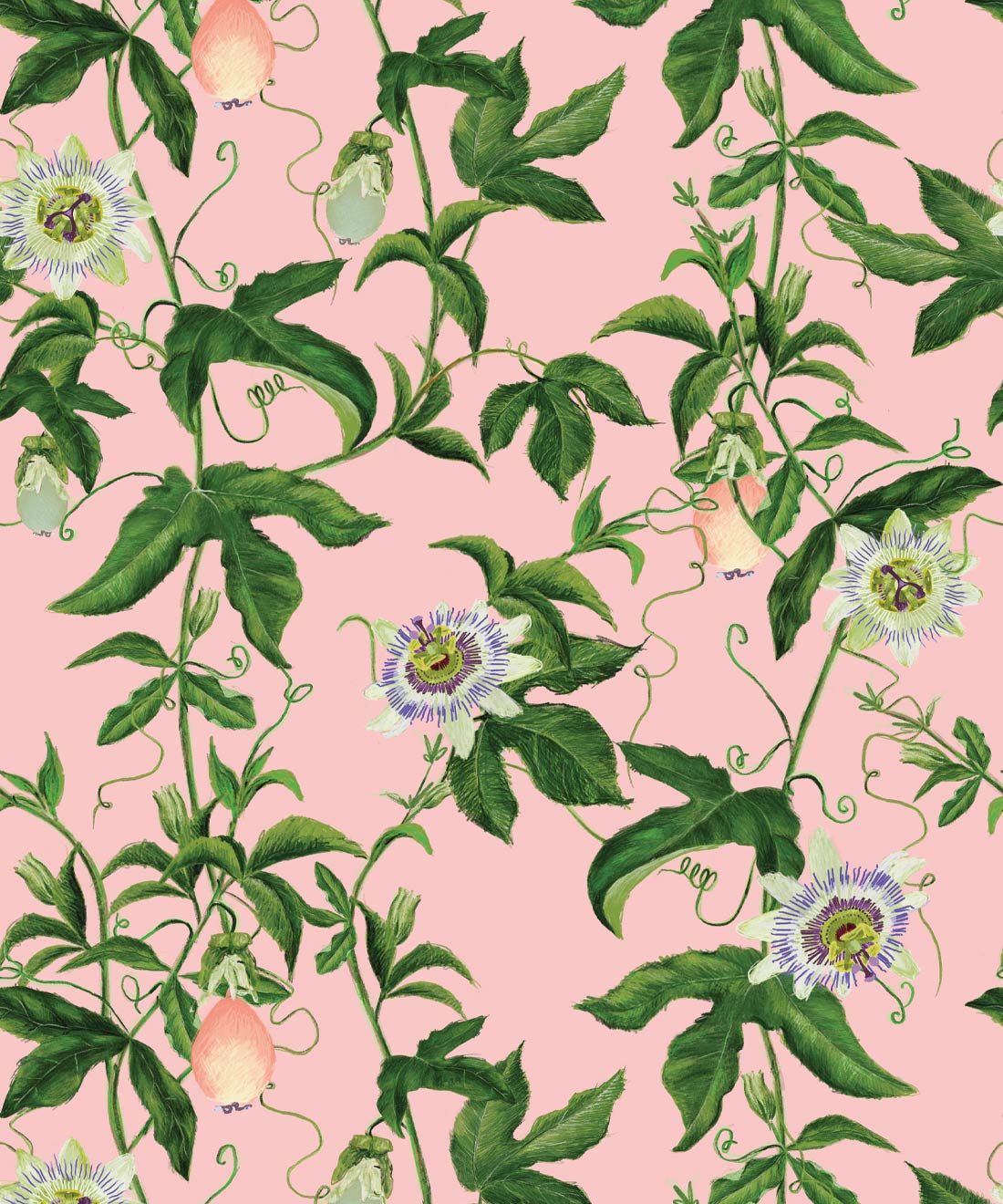 1100x1320 Passion Wallpaper • Floral Fruit
