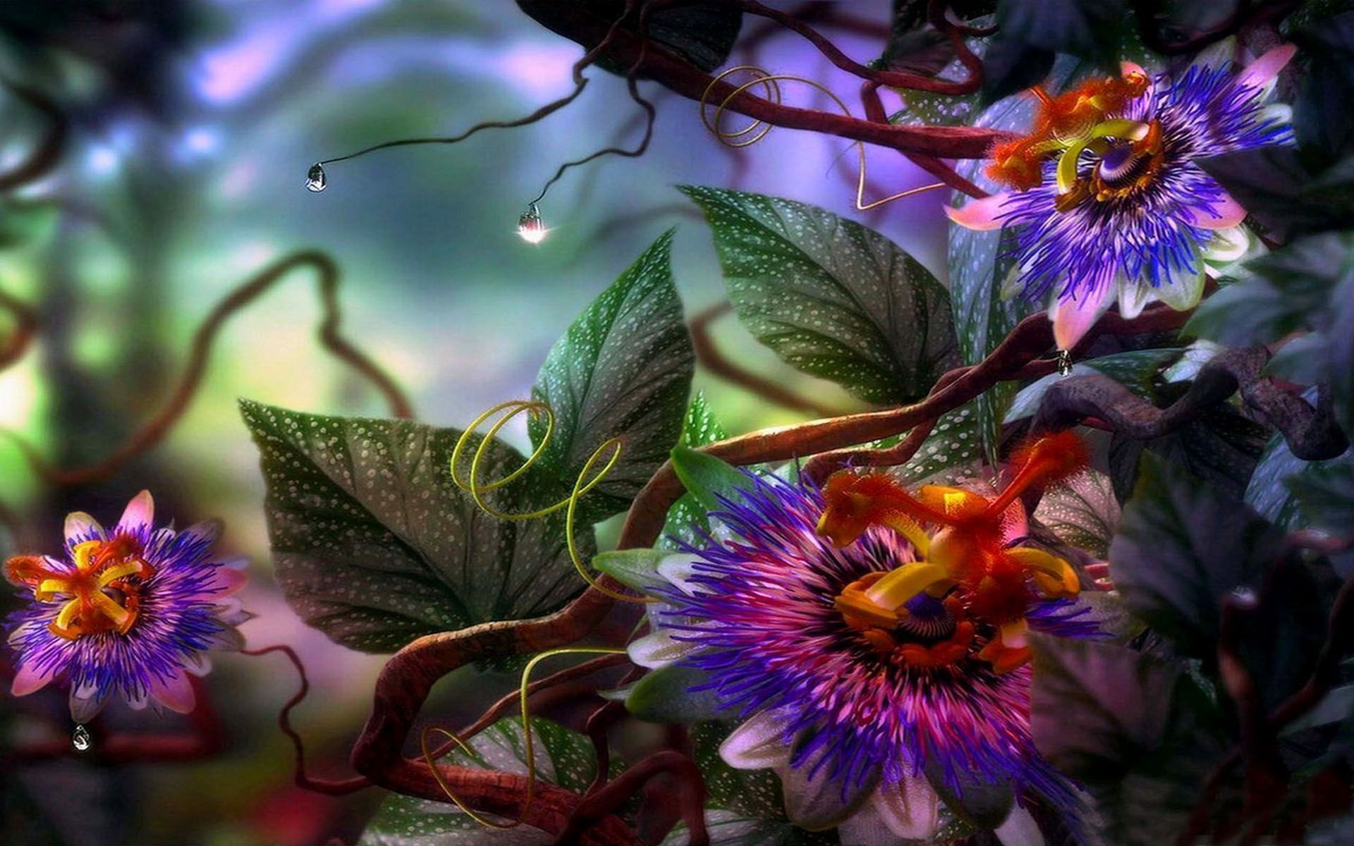 1920x1200 Passion Flowers
