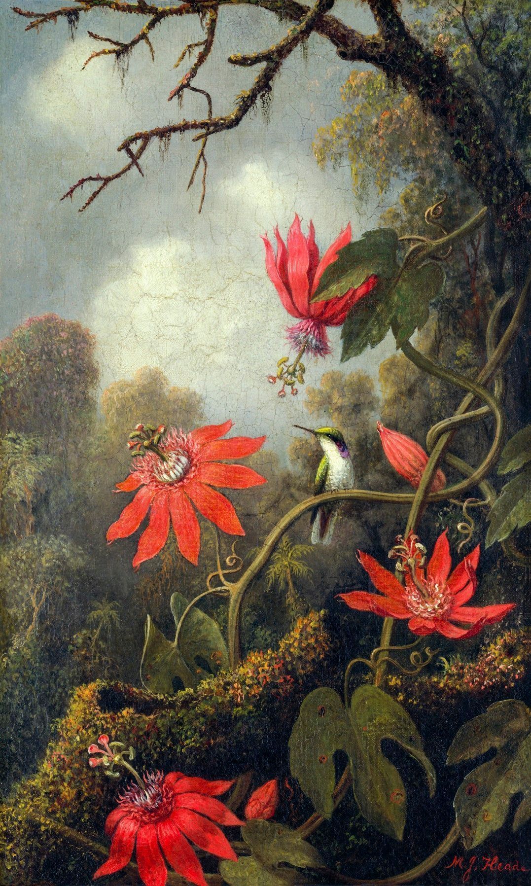 1077x1797 Passionflowers Mural Wallpaper SqM
