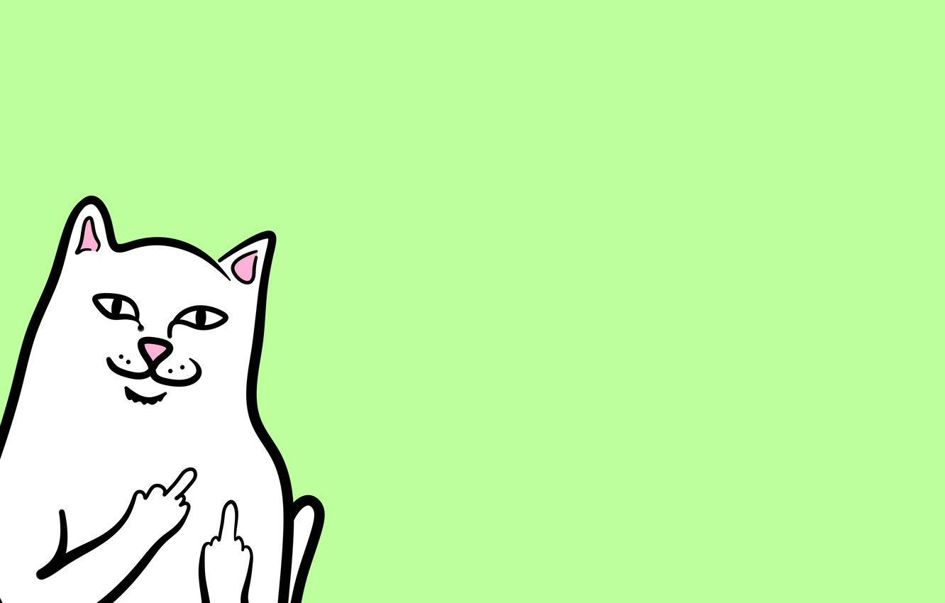 1332x850 RIPNDIP Wallpaper