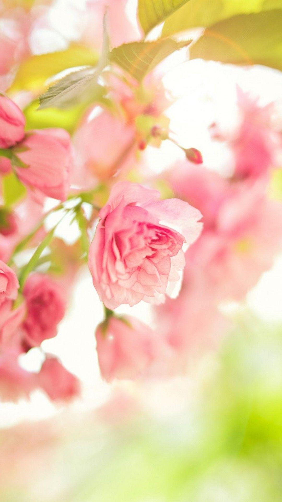 Cute Spring iPhone Wallpapers - Top Free Cute Spring iPhone Backgrounds